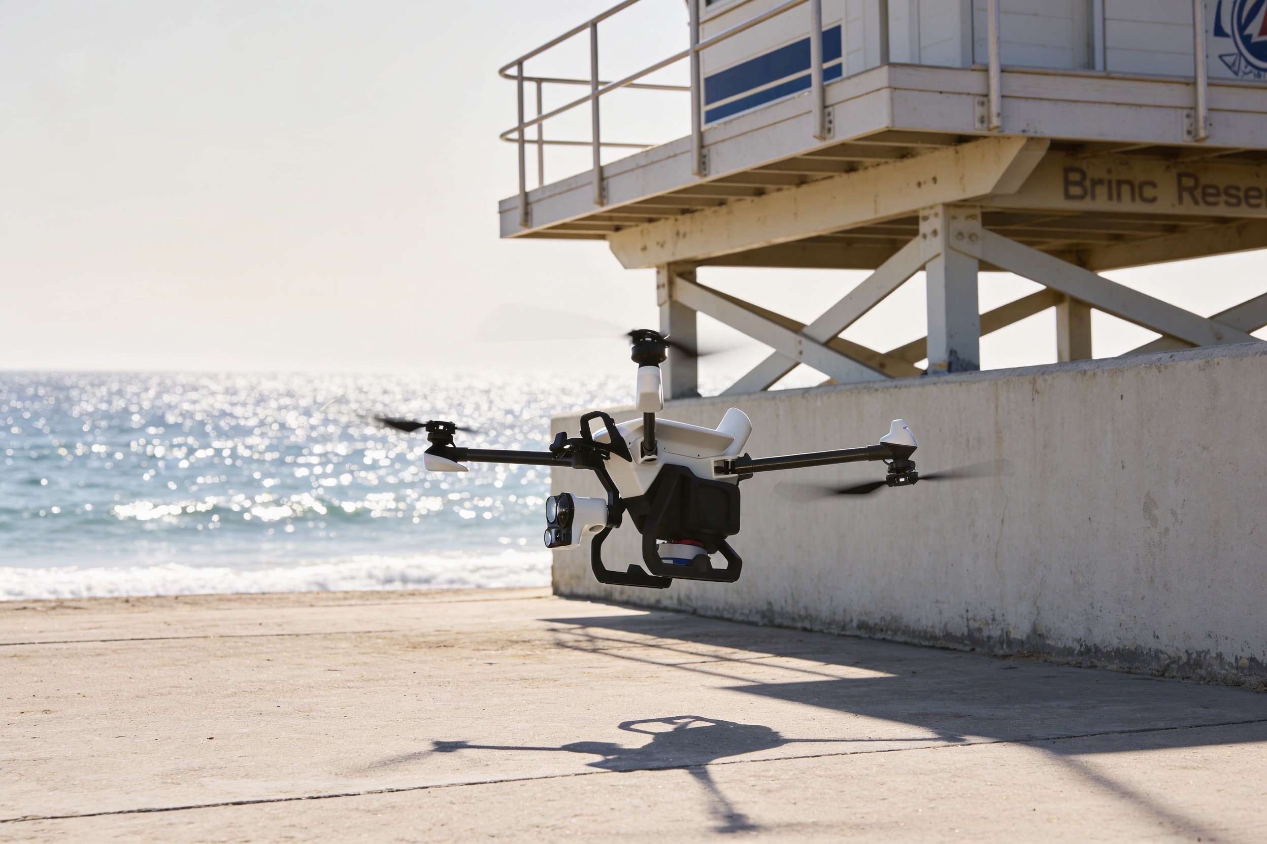 Commercial robots lester