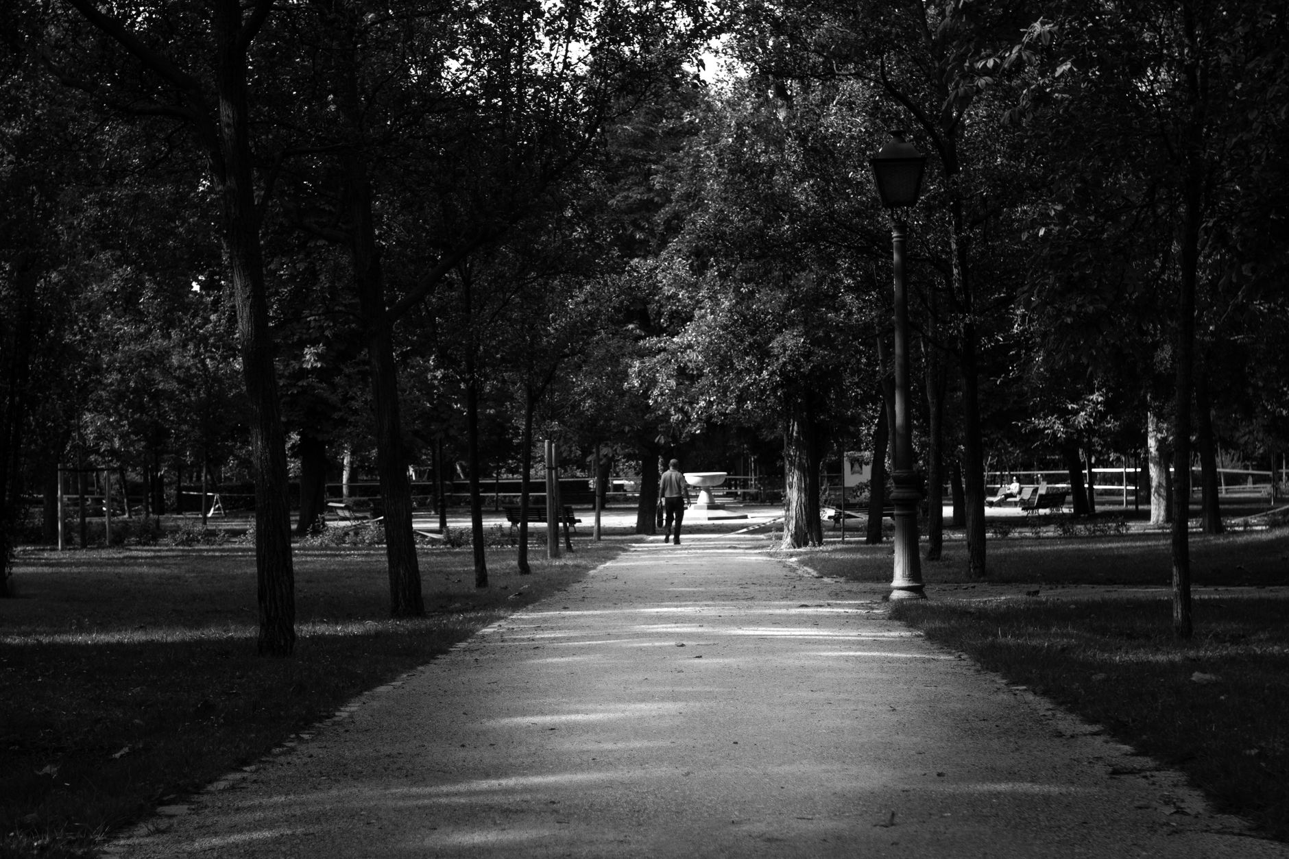Tree-lined pathway through a large city park, similar to the outdoor patrol setting in the case study.
