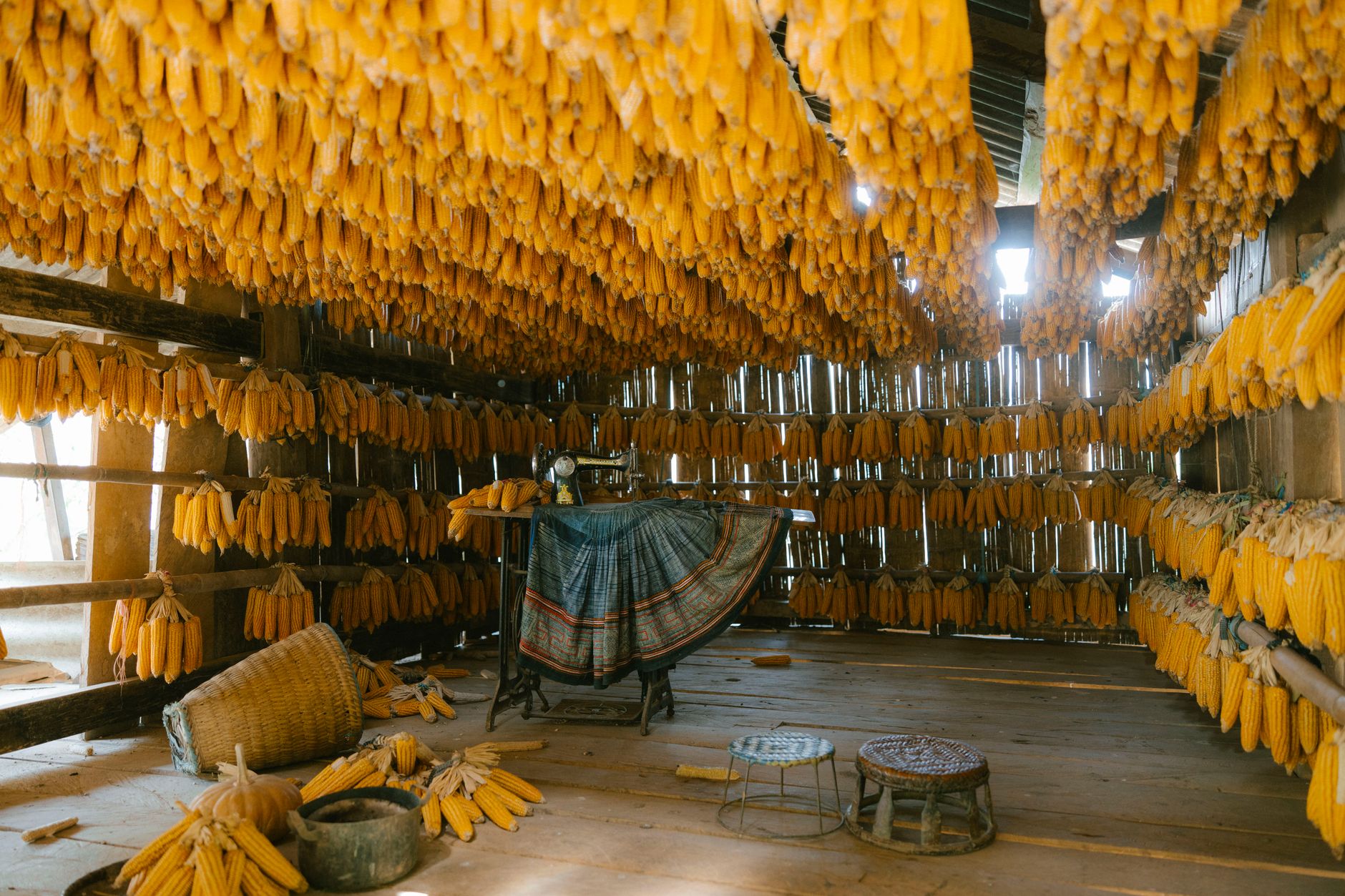 A farm barn where ration kitchens and feeding lanes are mapped before autonomous delivery starts.
