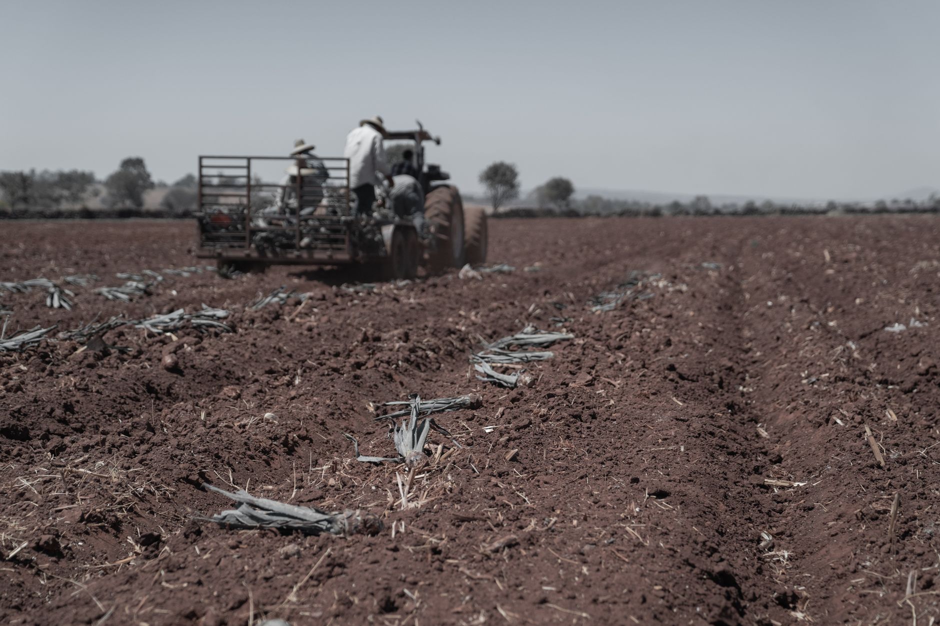 Farm labor time reallocated after tractors stopped running twice-daily mixing for the herd.