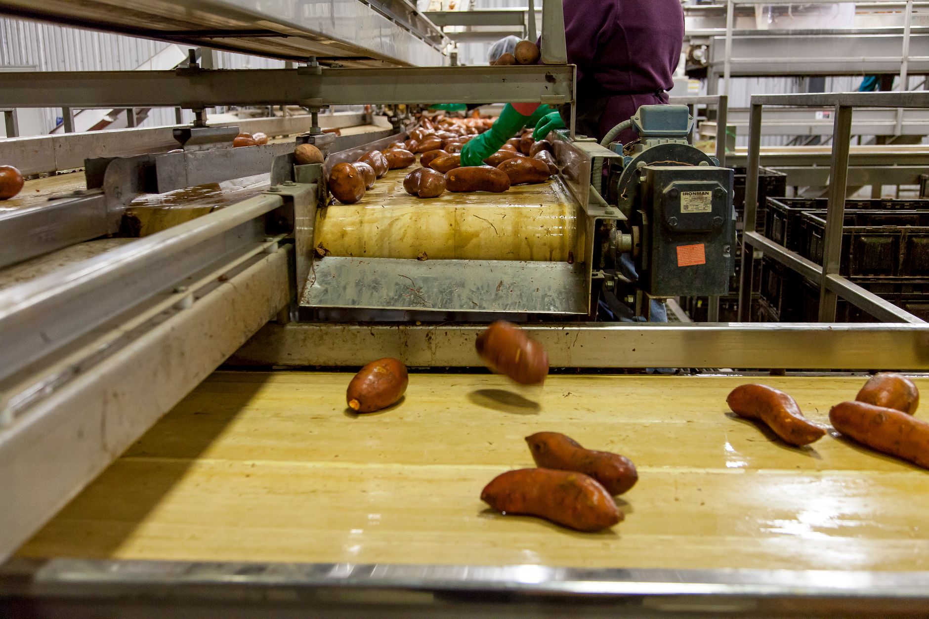 Warehouse staff work along a busy packing line with stacked cartons and shipping materials in a high-volume fulfillment center.