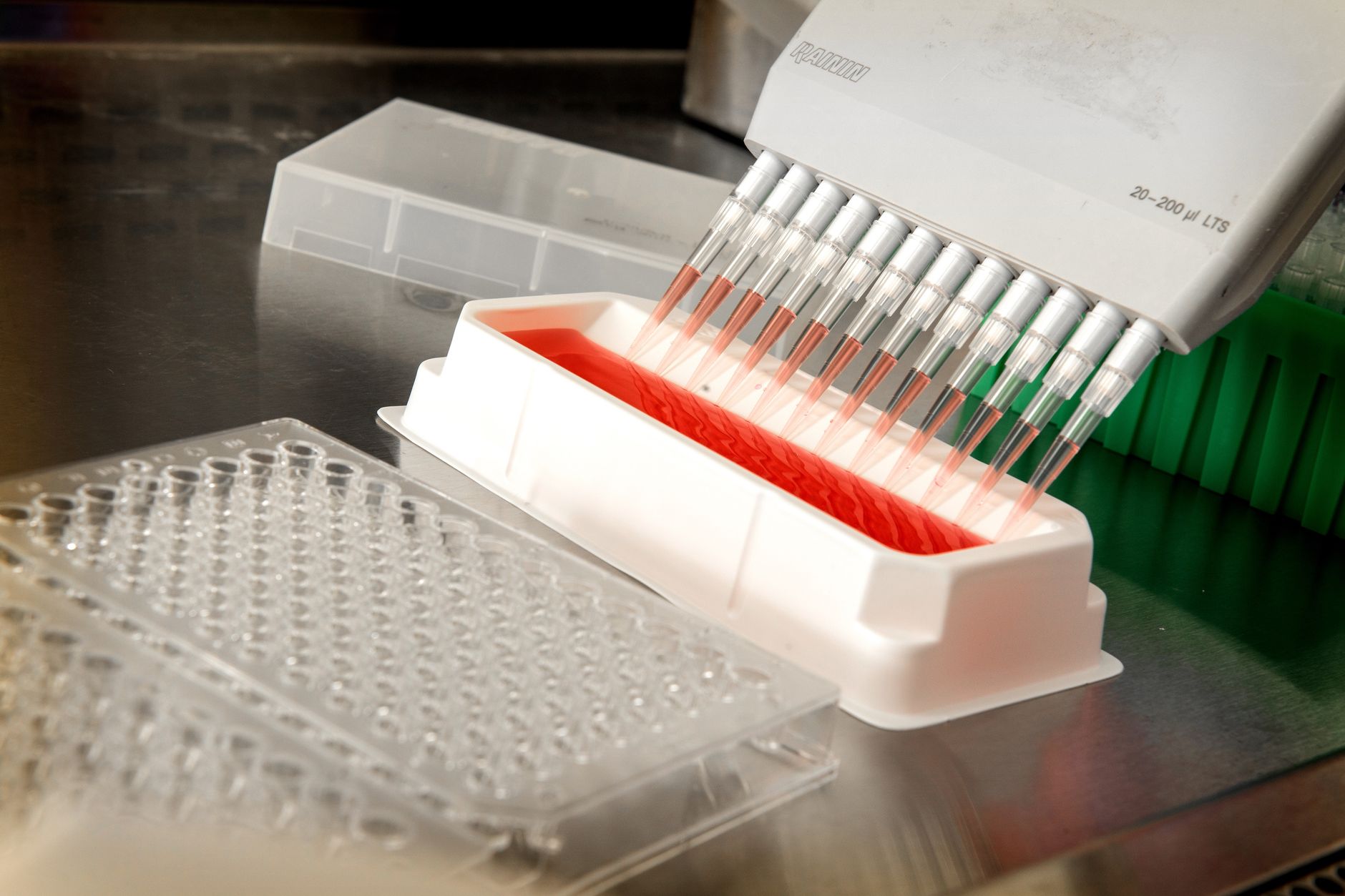 A scientist carefully pipettes samples during a cell-culture workflow.