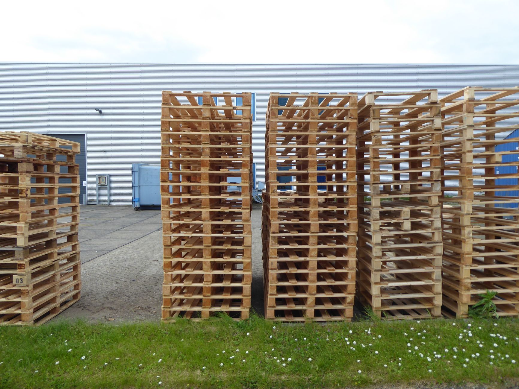 Pallets of packaged goods staged inside a busy manufacturing facility.