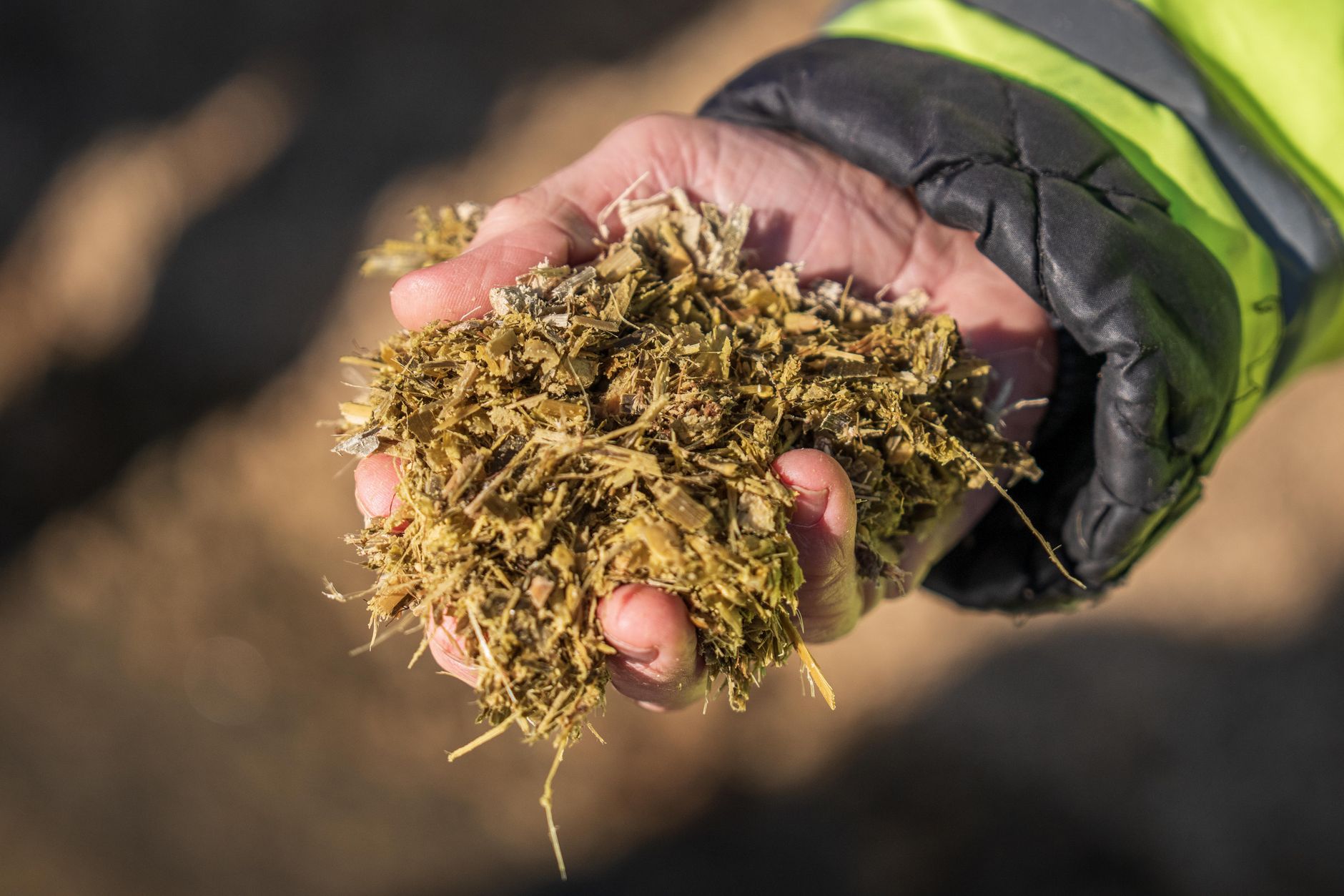 Feed ingredients staged for automated mixing before rail delivery to the herd.