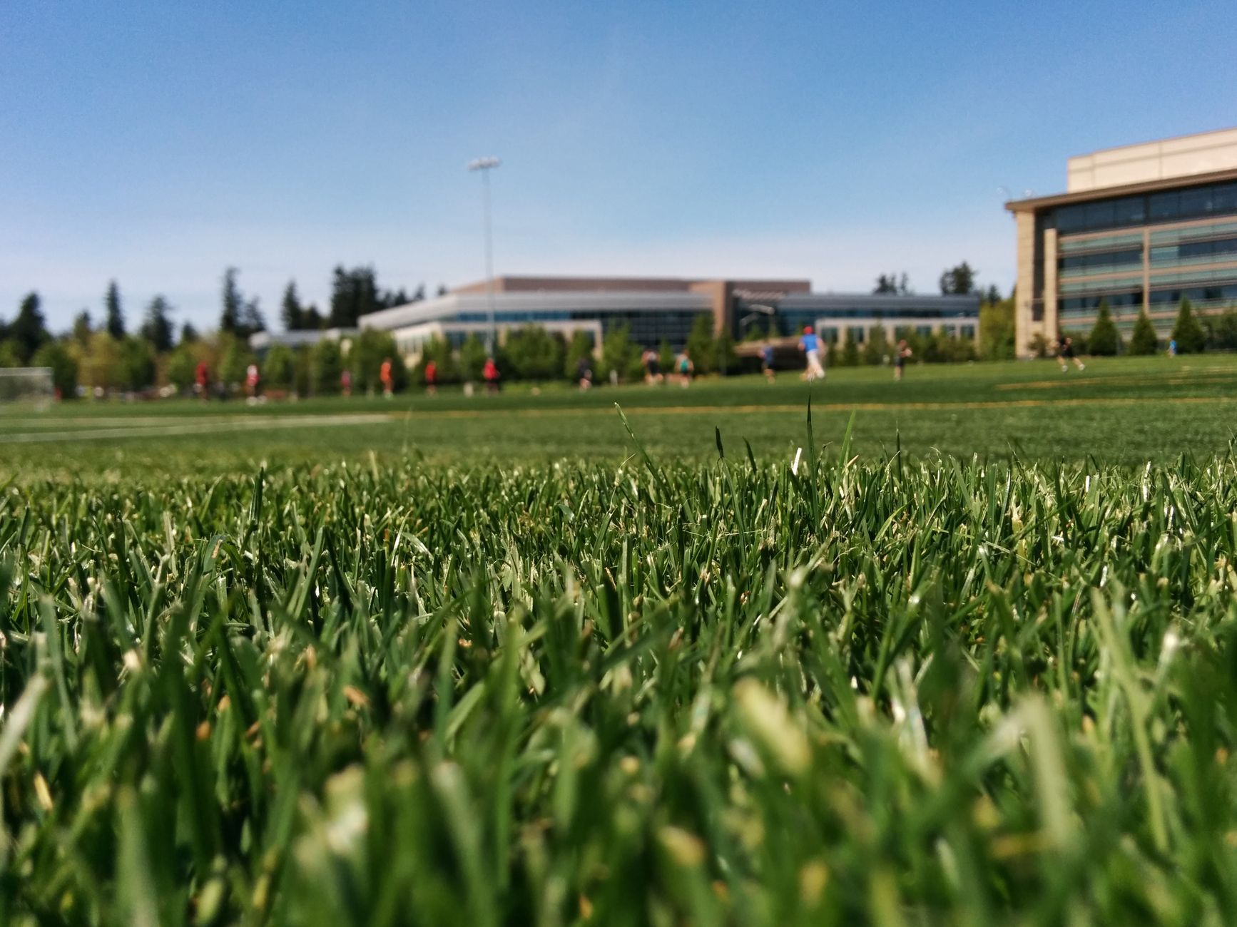 Wide athletic campus turf, evoking a sports training center with adjacent golf fairways.