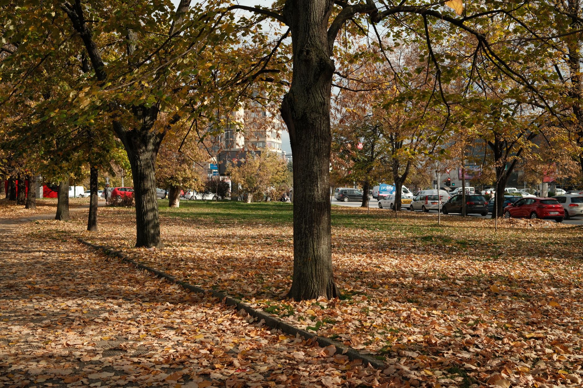 Tree-lined parkland surrounding a public golf layout in a dense metro area.