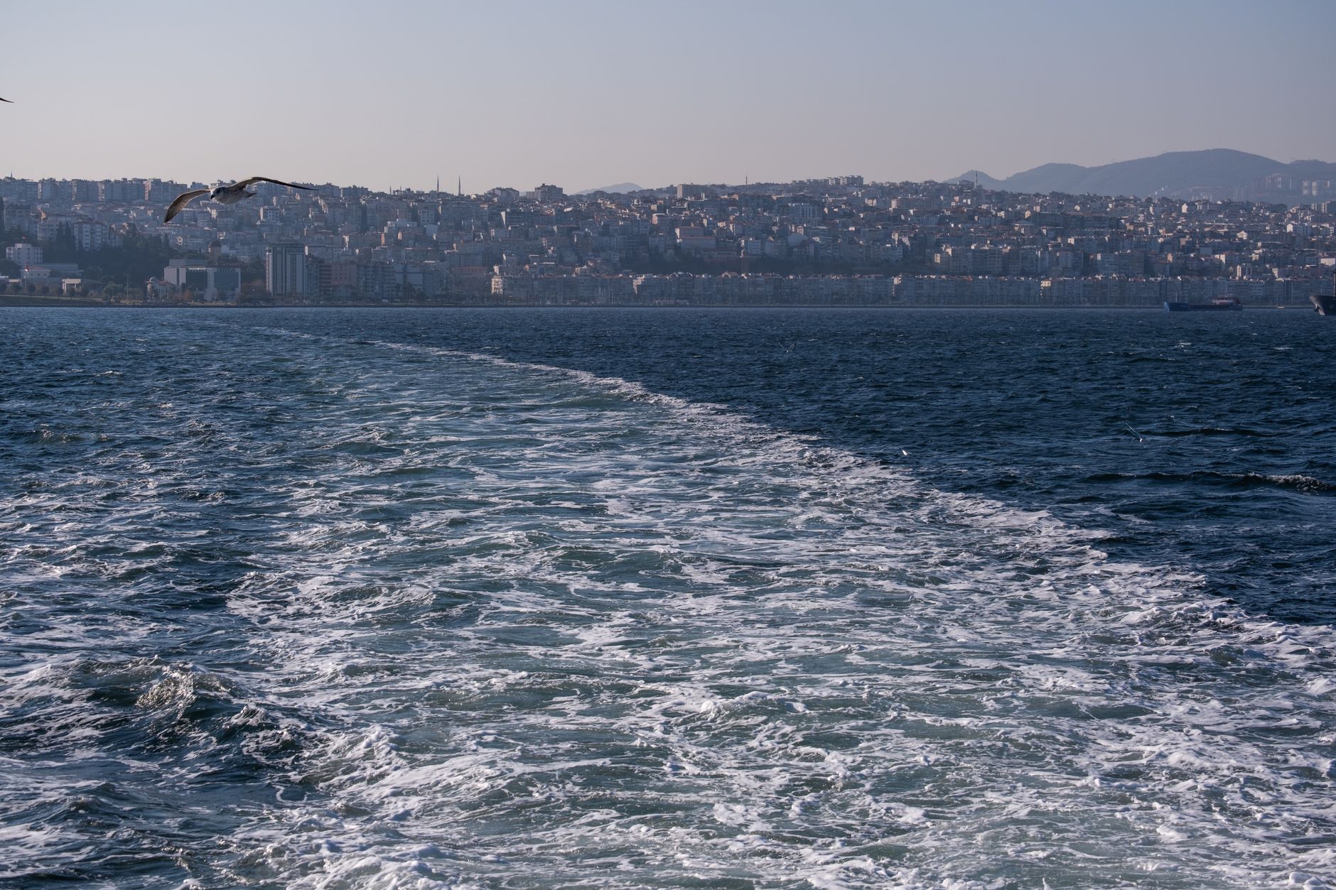 A passenger ferry leaves a broad wake as it moves efficiently through open water.