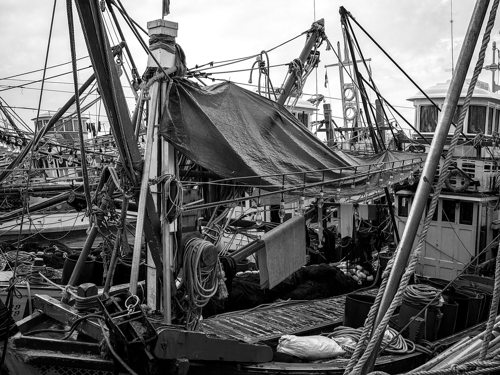 Harbor scene where fresh catch moves quickly to processing