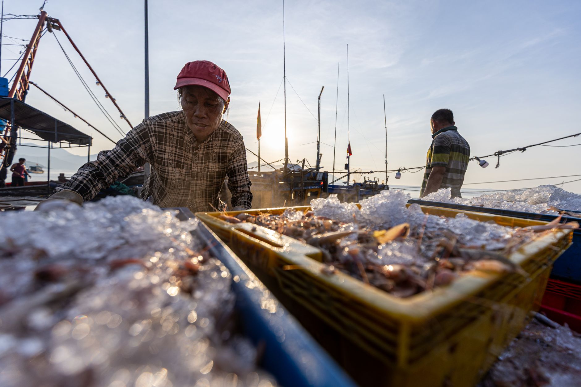 Fresh seafood crates staged for cold-chain distribution