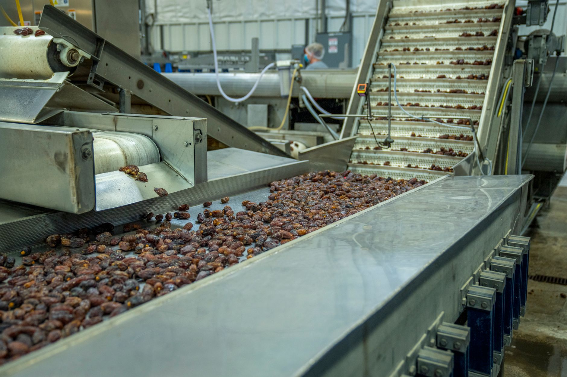 Meal trays move through a sanitary production line in a frozen-food facility similar to the plant described in the case study.