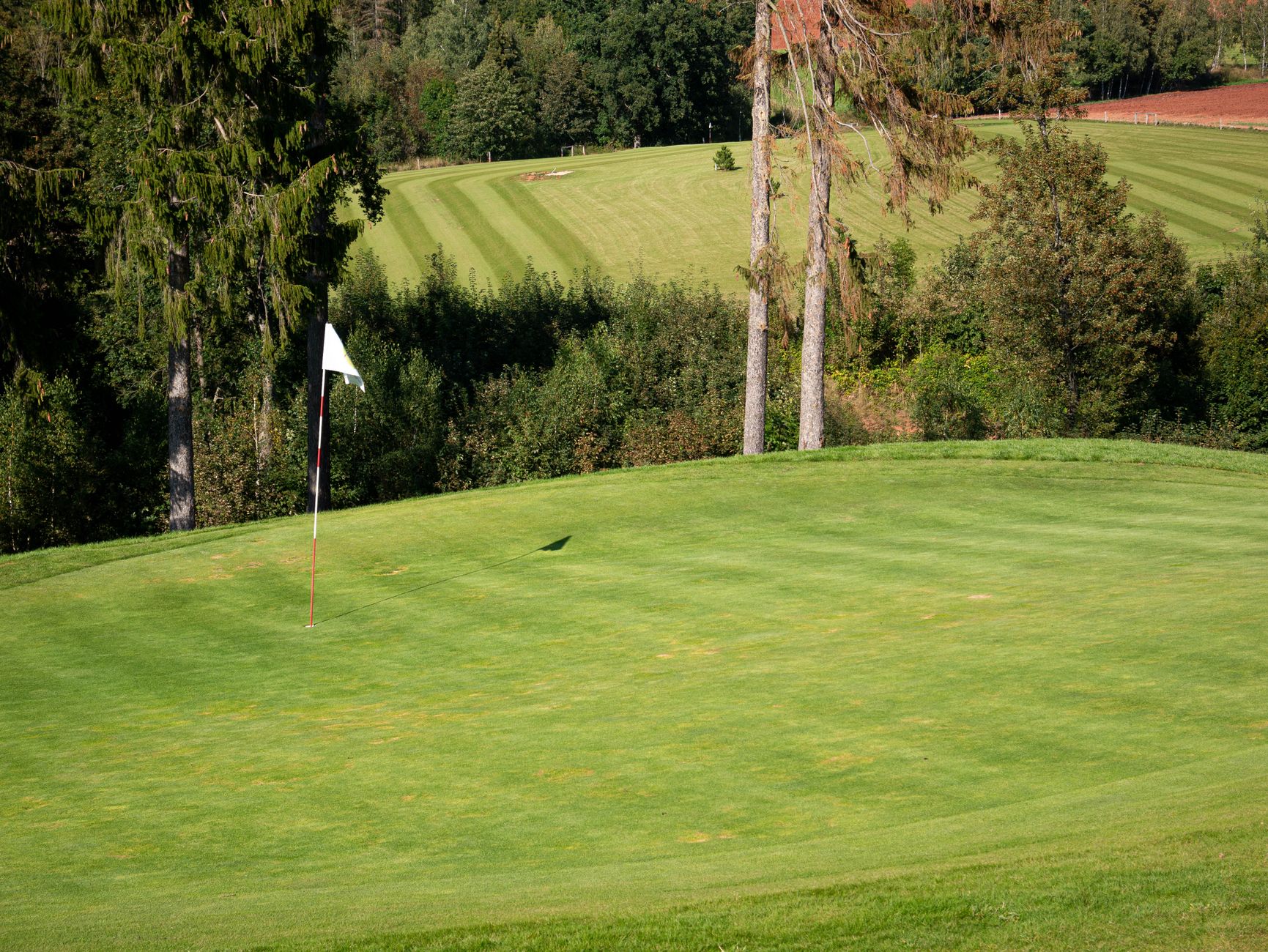 Alternating stripes run along a freshly cut golf course fairway.