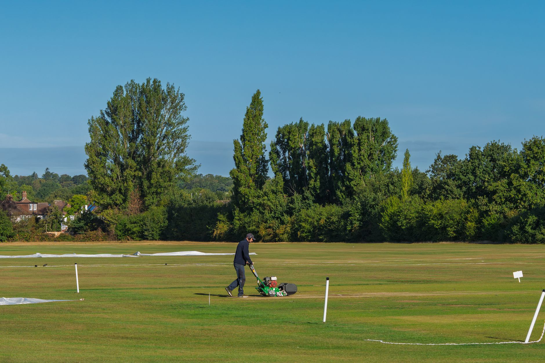 A golf course groundskeeper closely inspects the condition of the turf.