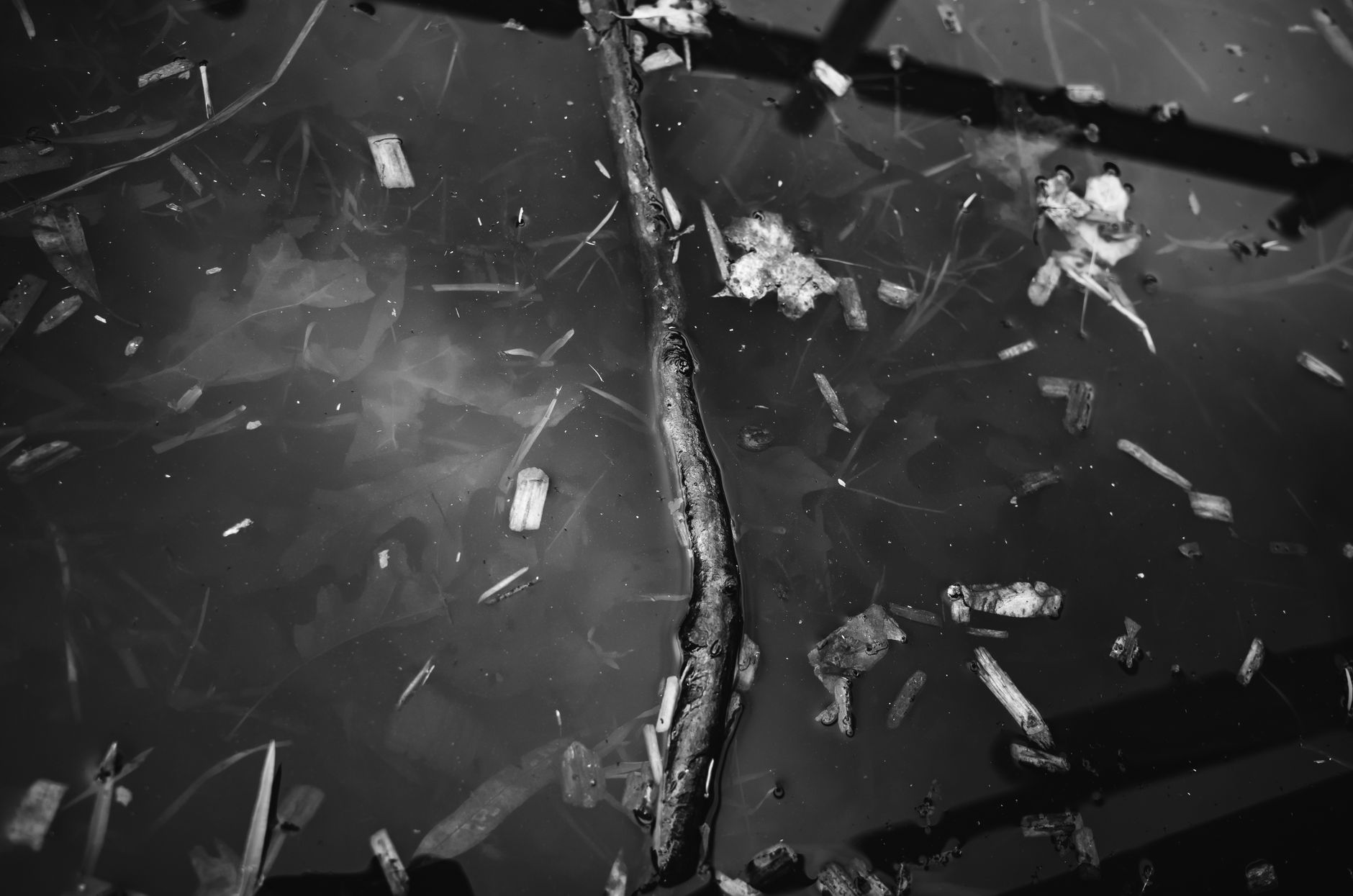 Floating plastic and organic debris gathers on the surface of a busy Southern California harbor.