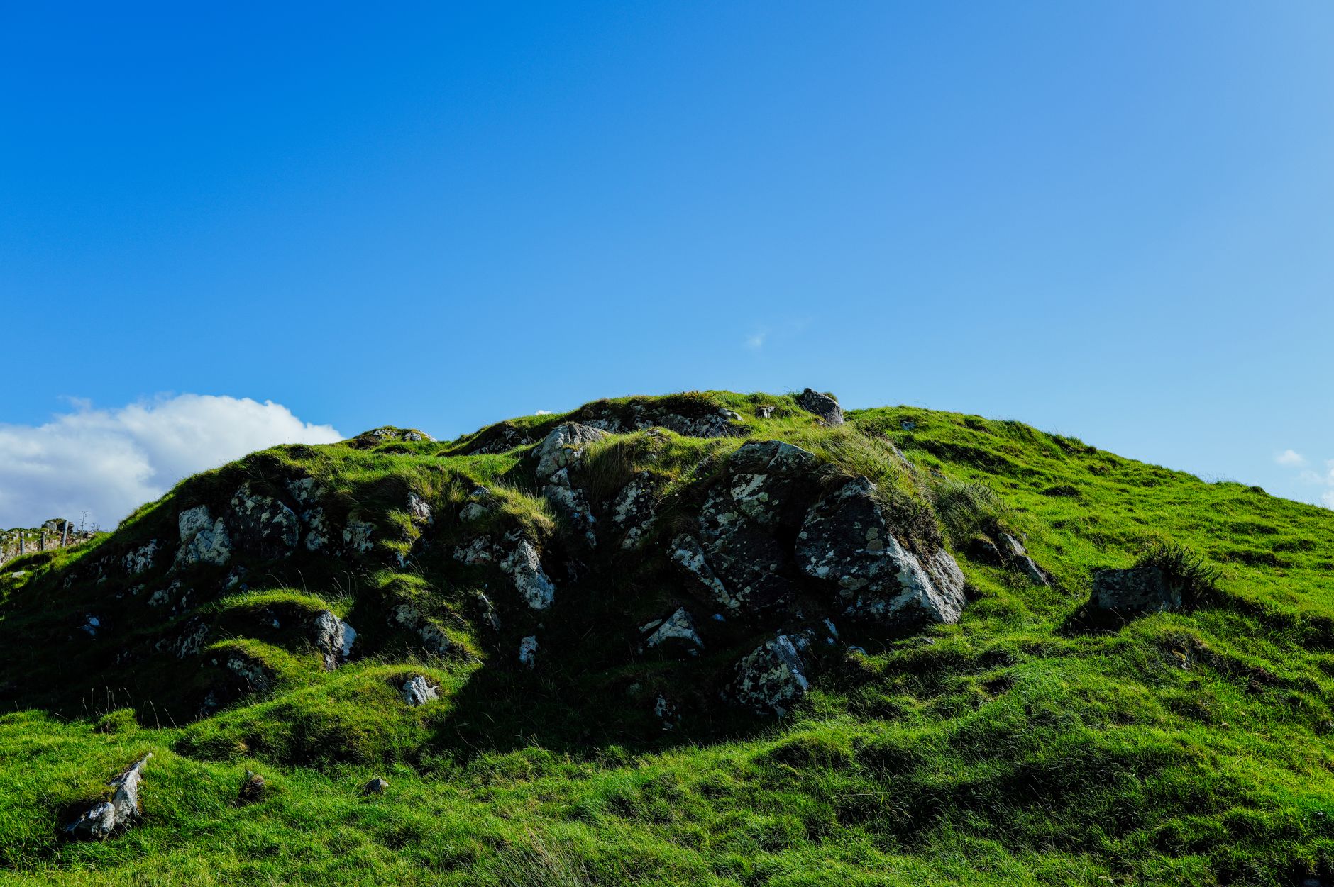 A steep grassy embankment like the slope turf a commercial landscaping crew must maintain.