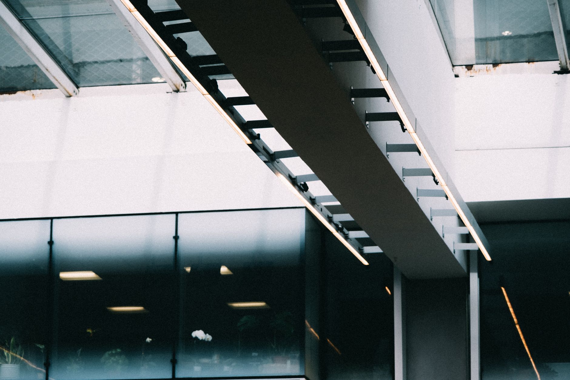 A bright interior corridor with large glass walls like the data-science building described in the case study.
