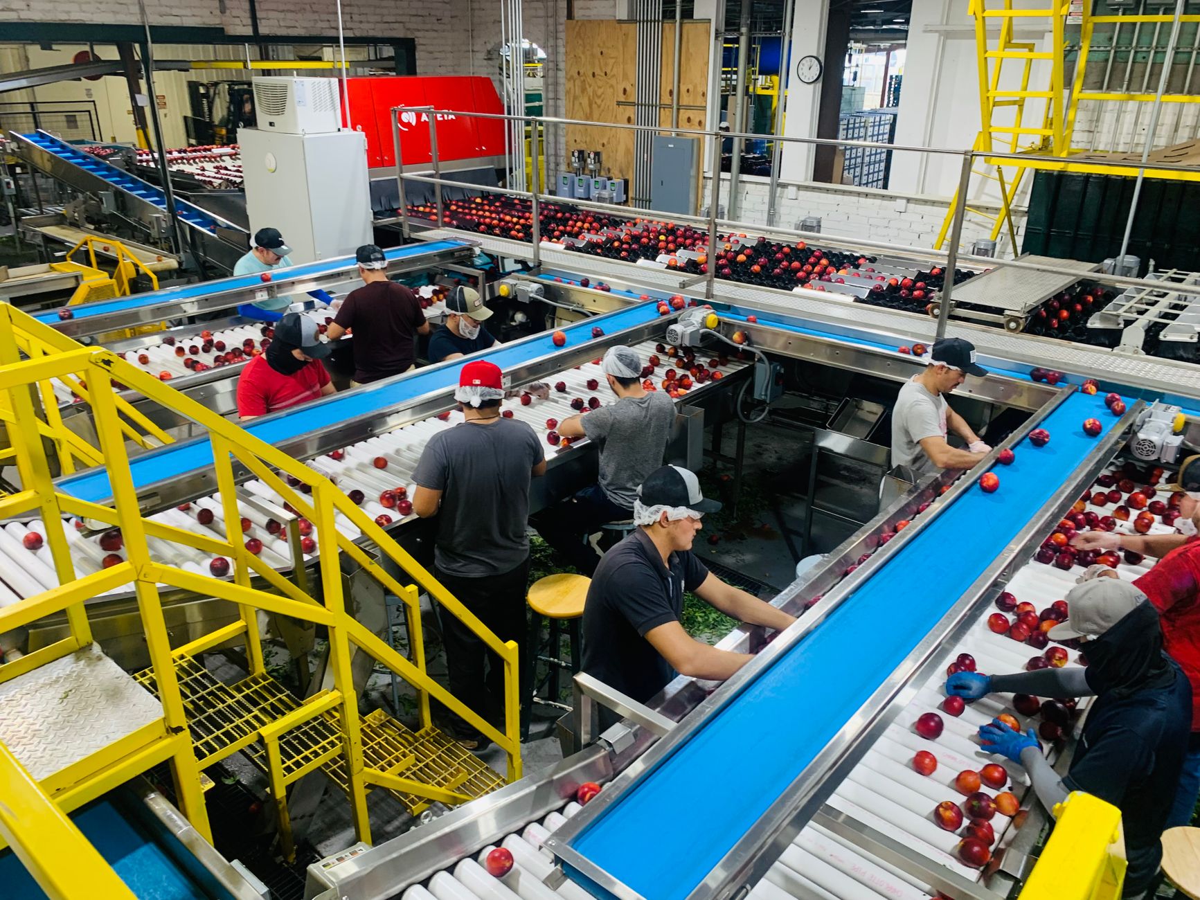 Production staff in a food manufacturing setting reviewing workflow on the floor, reflecting operator training and practical adoption of end-of-line automation.