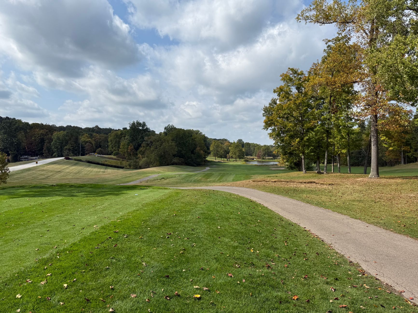 A maintained cart path beside fairway turf