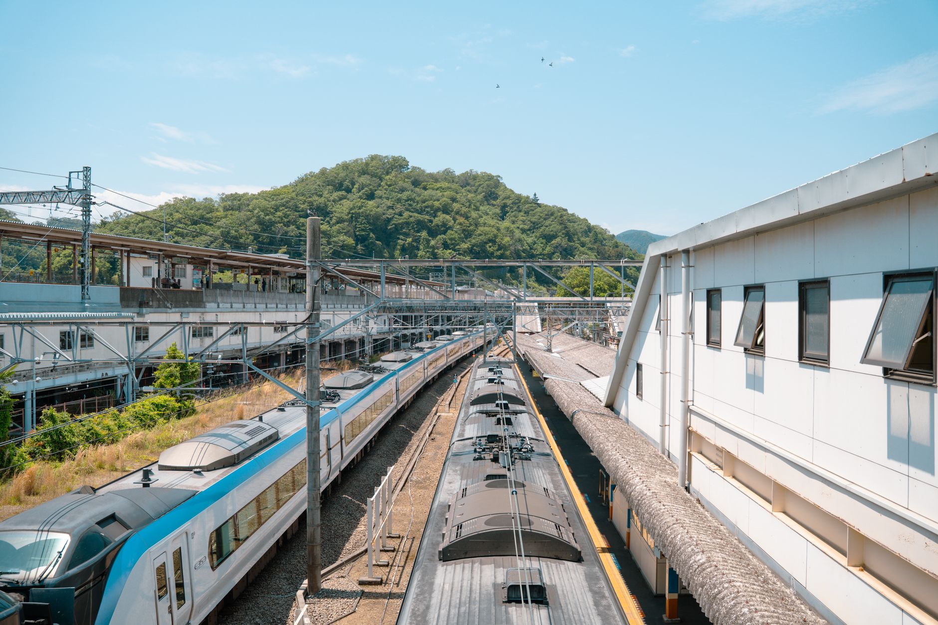 A spacious Japanese rail station concourse with polished floors and clear walking routes.