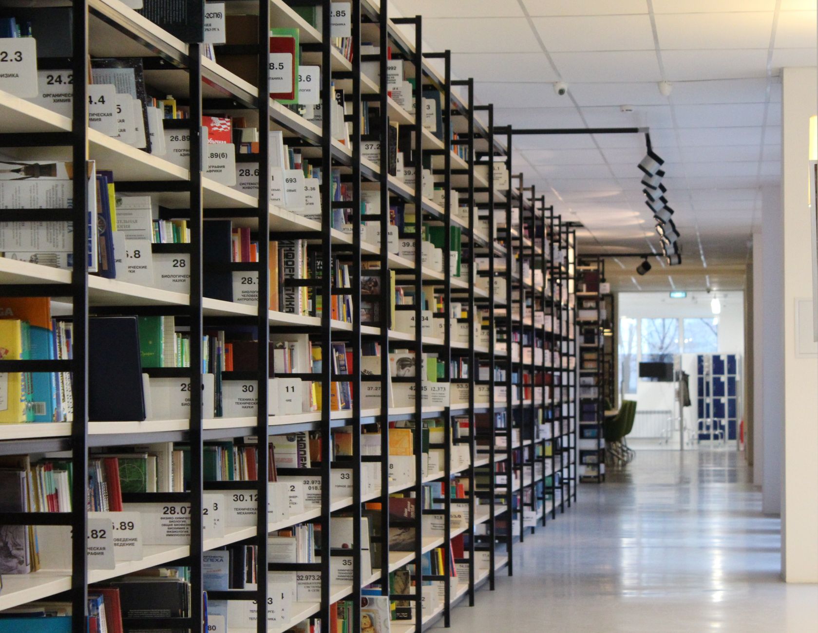 Tall, closely spaced library shelves illustrate the floor area required to house a large academic collection.