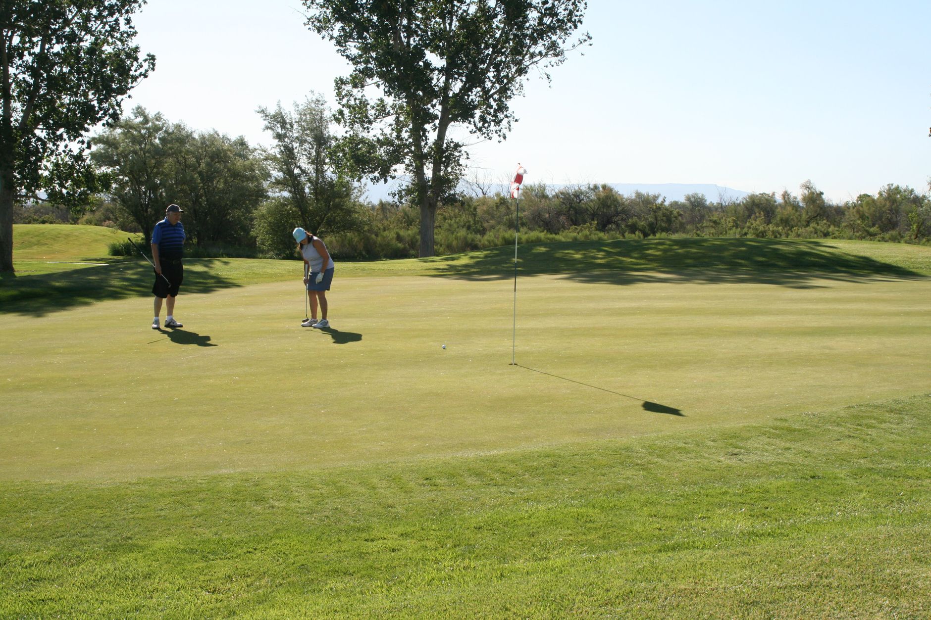 Members putting on smooth greens after daily conditioning