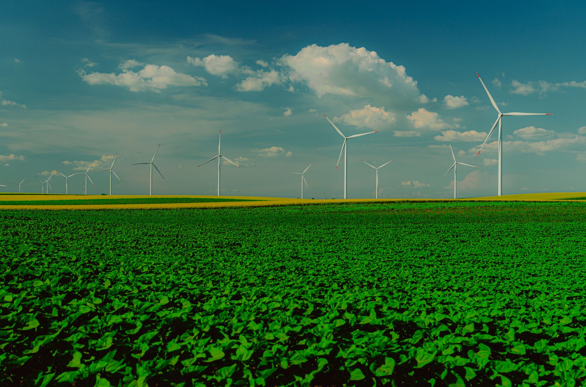 Renewable energy infrastructure at scale