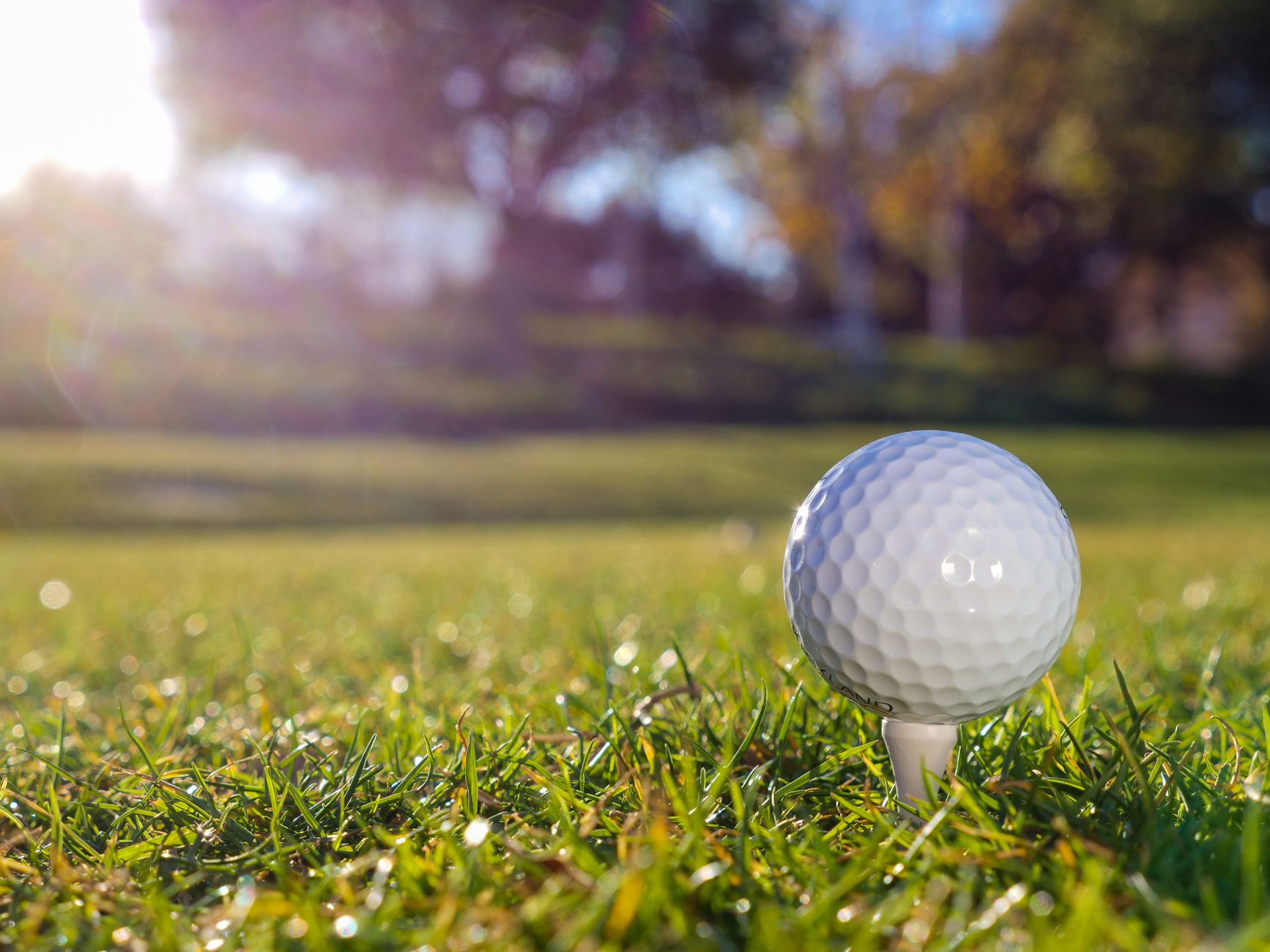 Golfers preparing to tee off on a Southern California style course with dry fairways and clear sky.