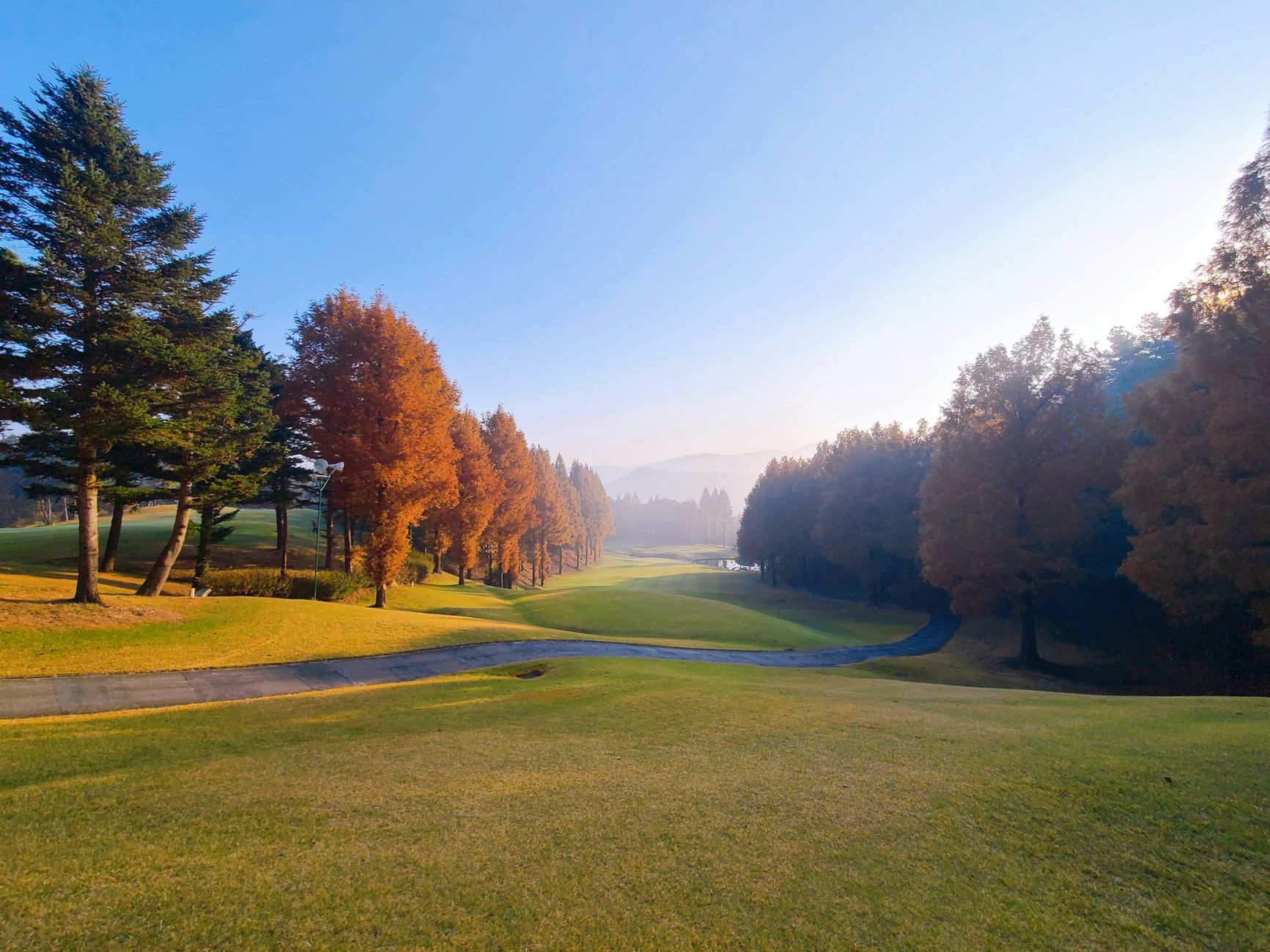 Early light across a golf fairway with closely mown turf and tree-lined rough.