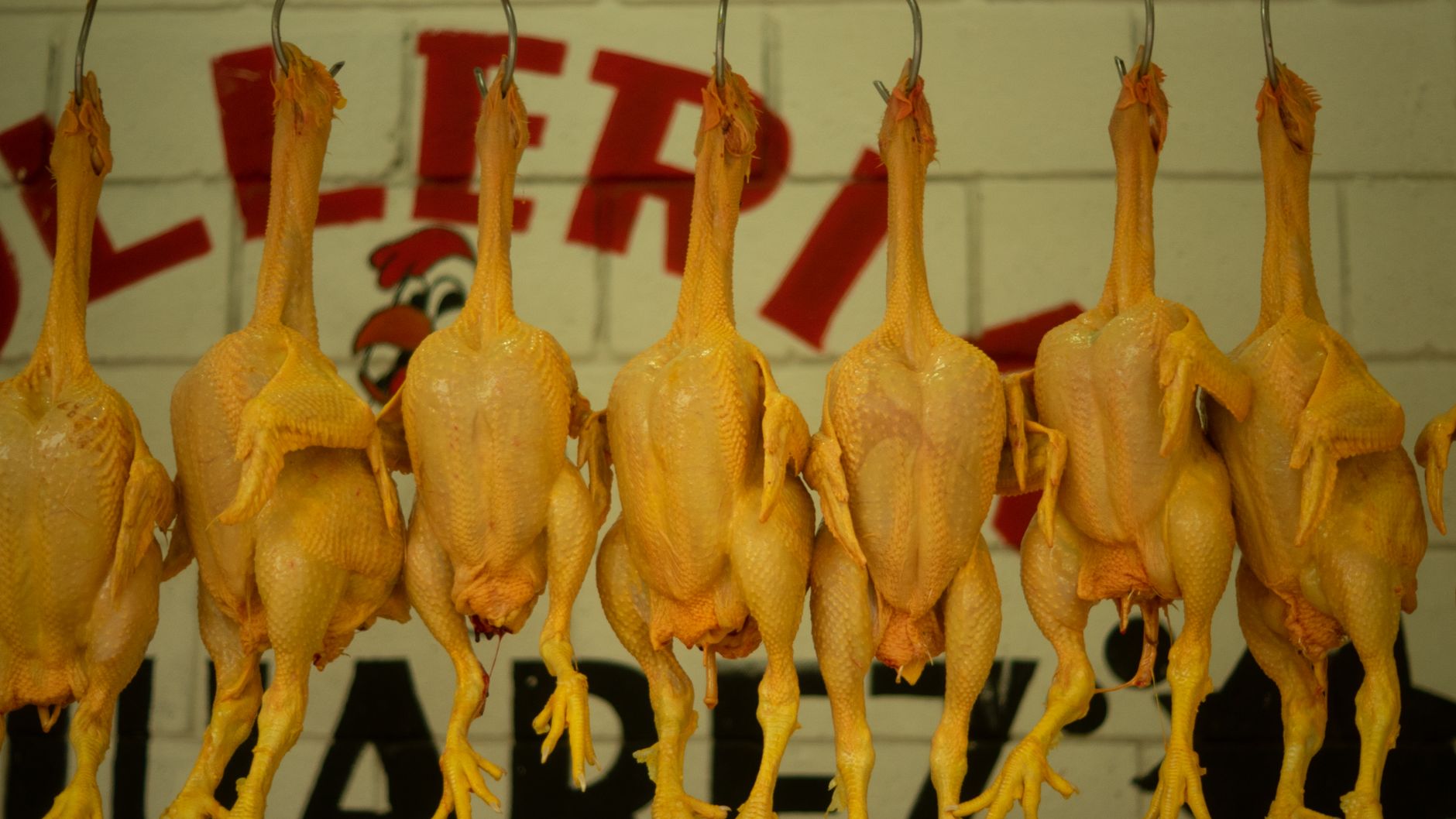 Workers and conveyors move poultry product through a bright food processing hall.