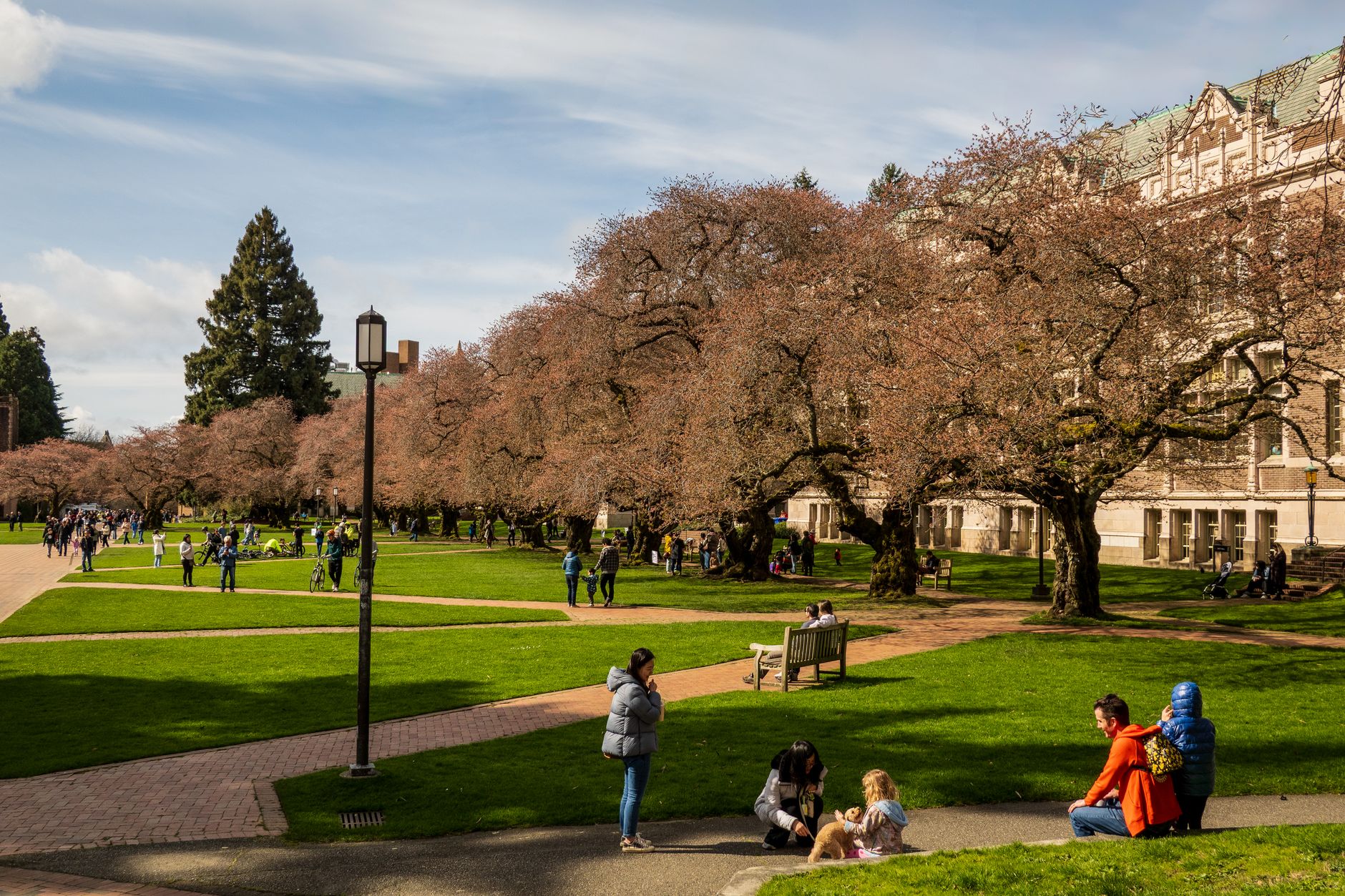 Wide view of a public university campus with academic buildings, walkways, and student traffic that suggests a large multi-building dining environment.