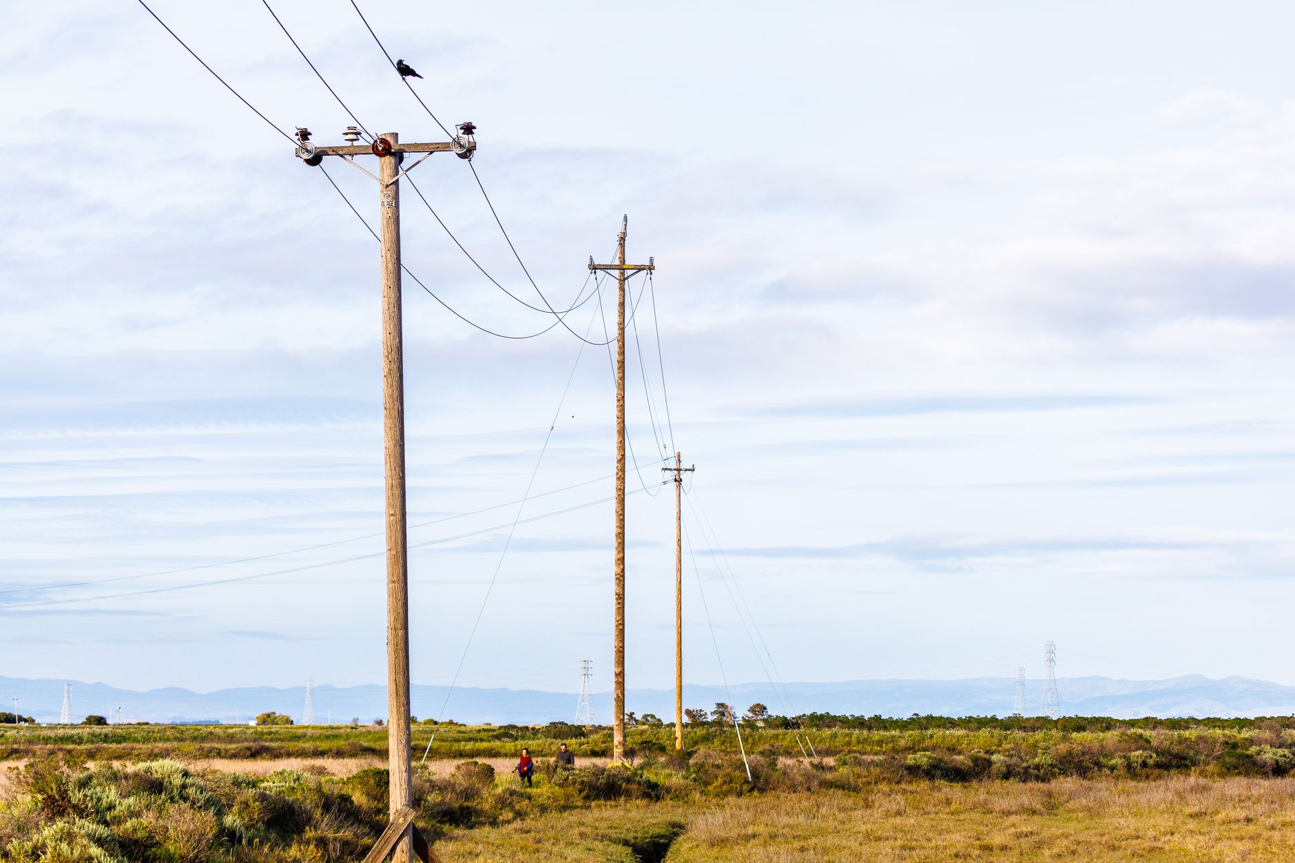 Wooden distribution poles stretching across open countryside where bucket trucks would need long drives between setups.