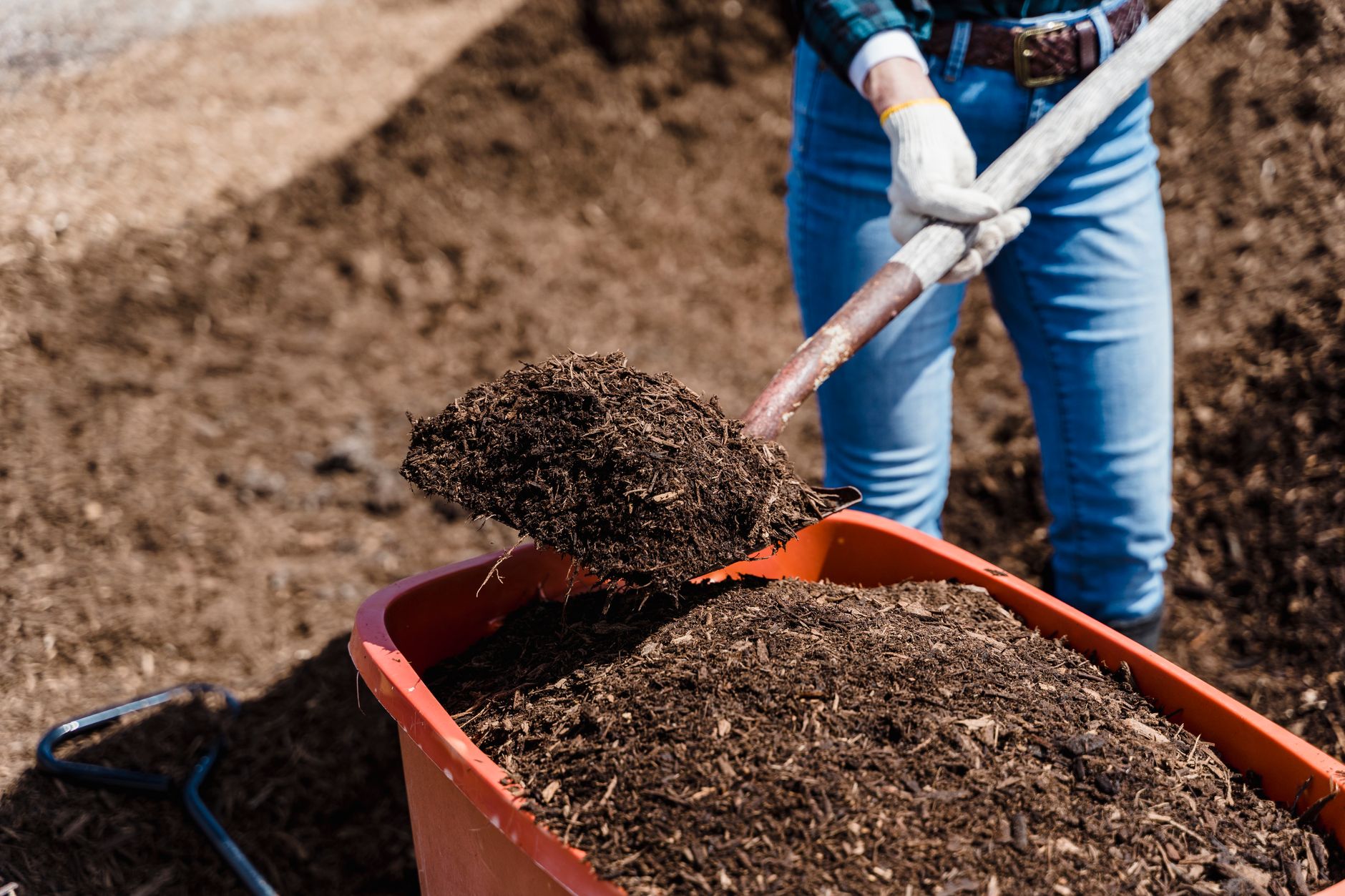 A farmworker spreads compost over planted beds as part of a labor-intensive mulching workflow.