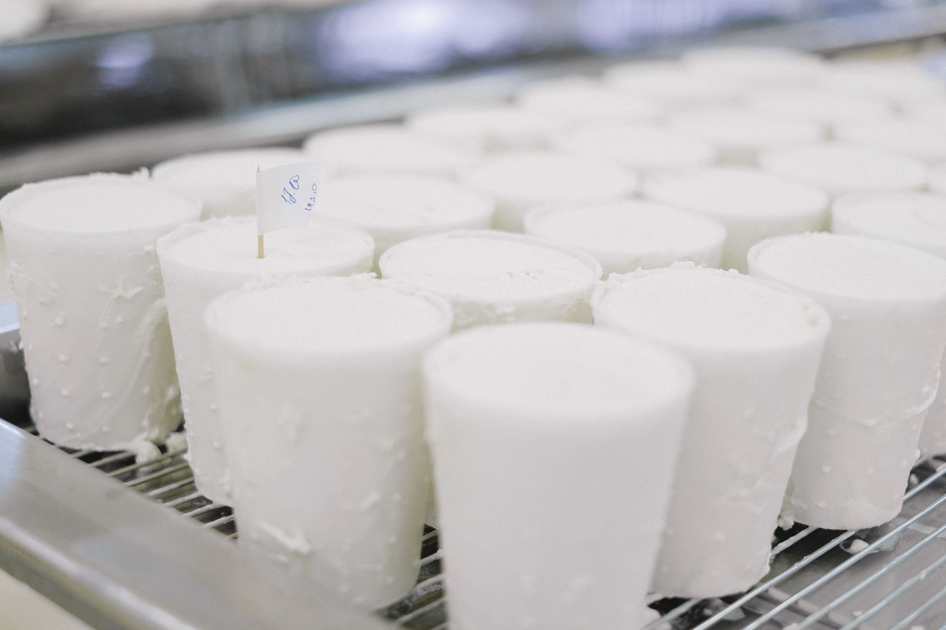A bright dairy production line where packaged cups move toward end-of-line case packing.