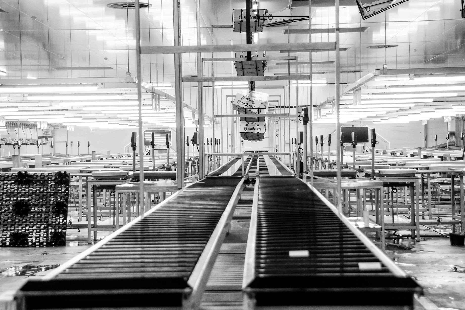 Packages moving on conveyors in a high-volume parcel distribution hall.