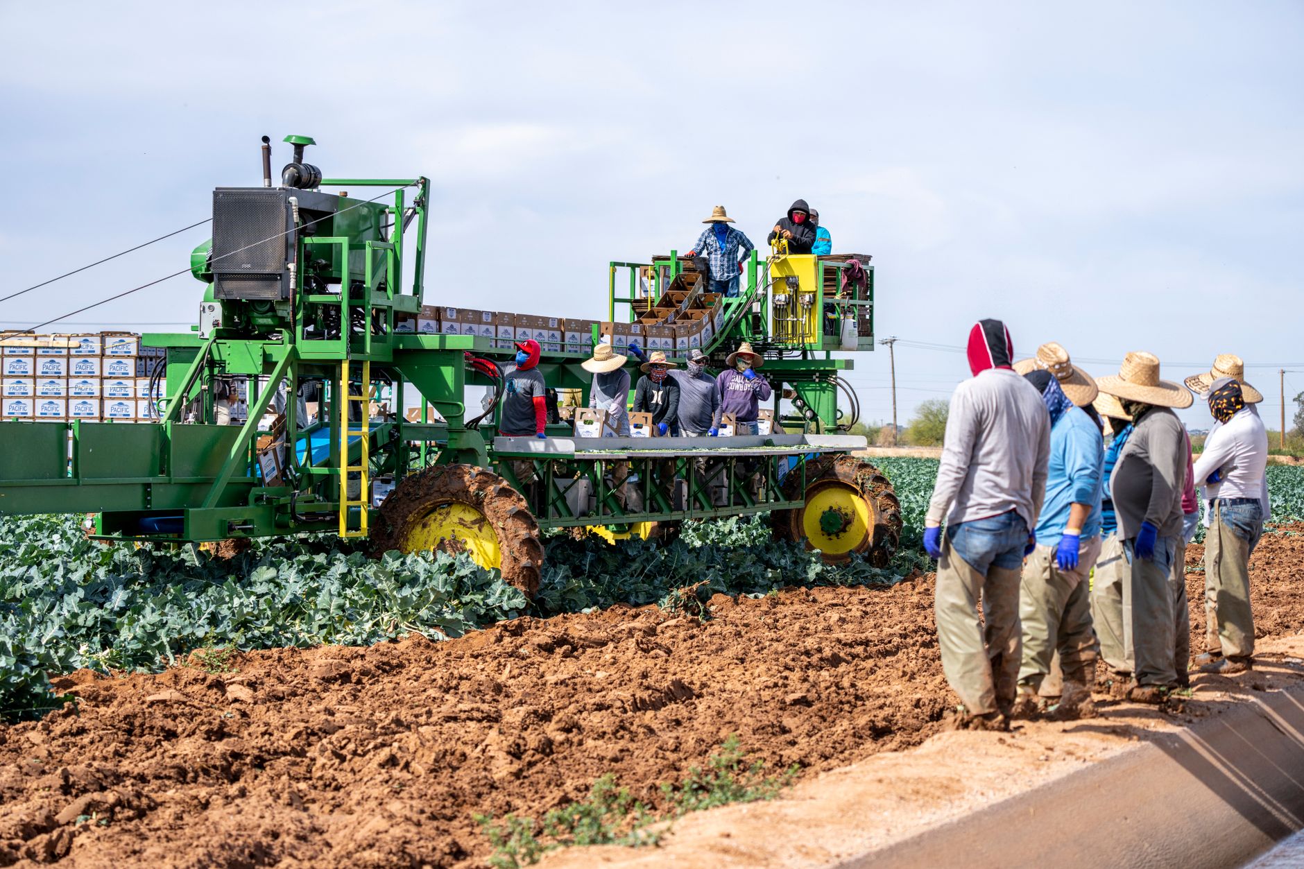 Agricultural workers gather for practical training before beginning work in an orchard.