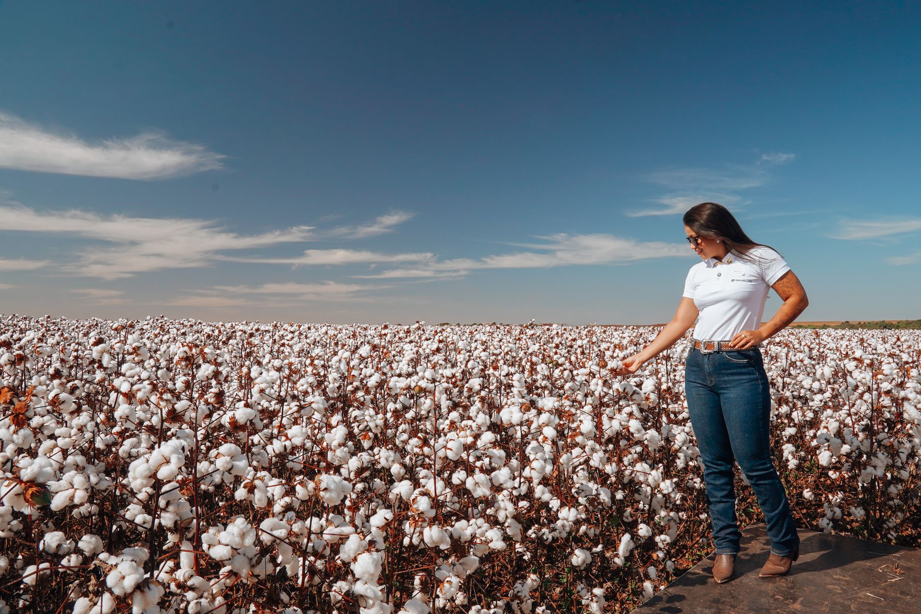 A farm professional inspects crop conditions while walking through rows of cotton.