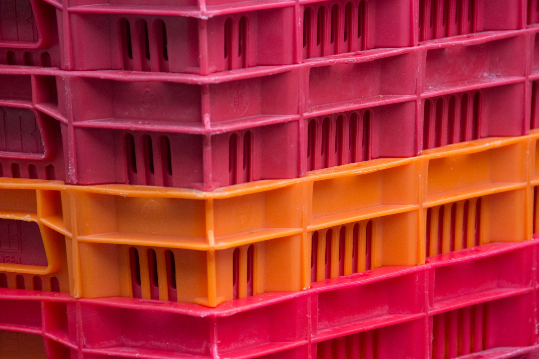 Crates filled with freshly harvested apples stand ready for transport from the orchard.