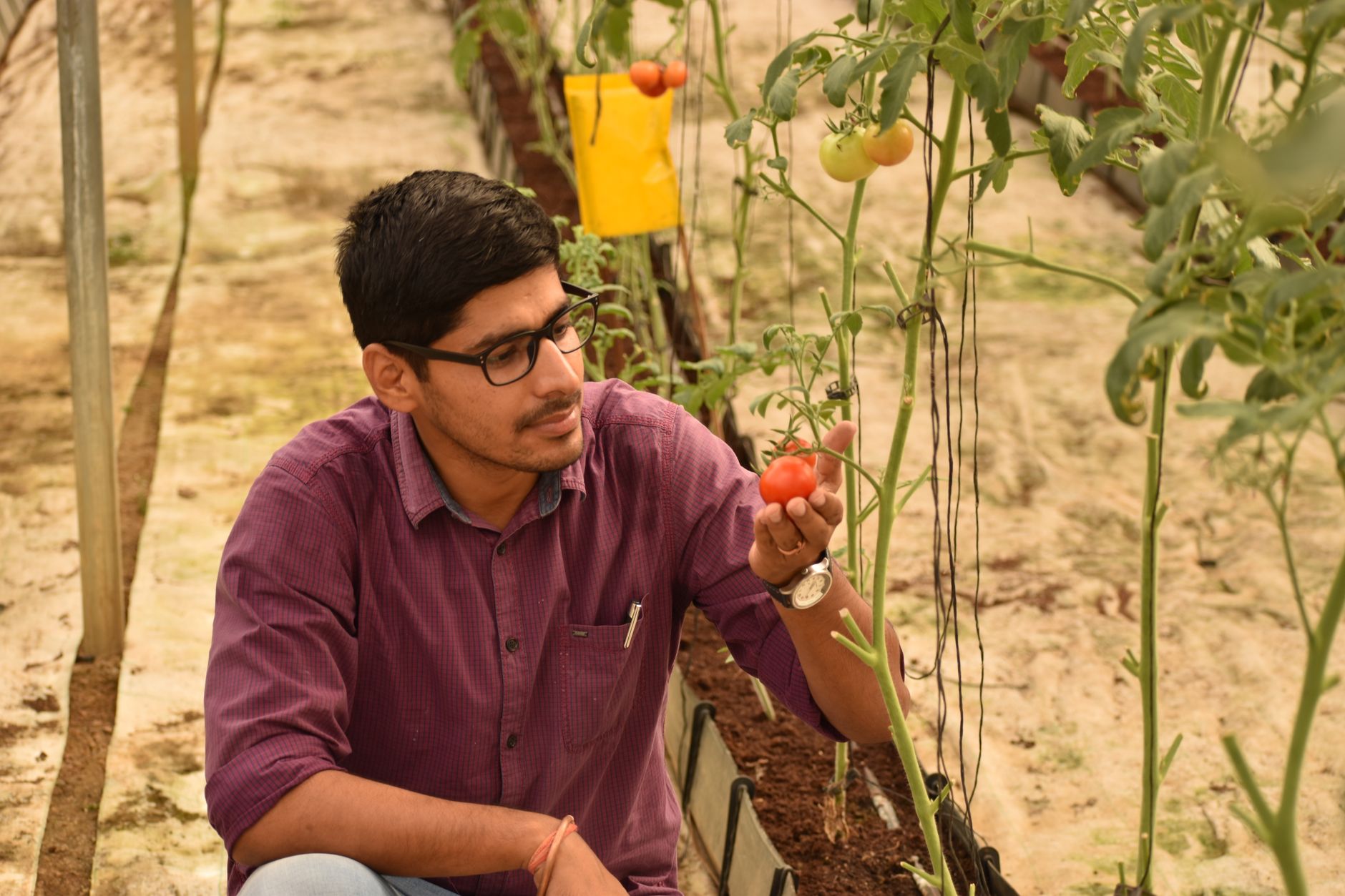 A grower reviews field notes while inspecting the layout and conditions of an orchard.
