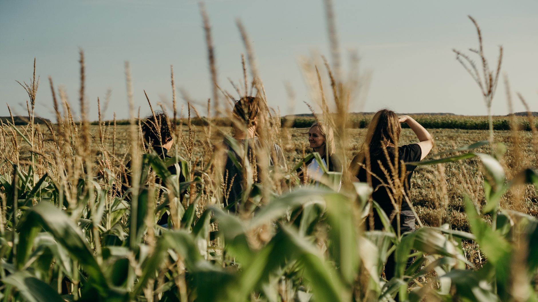 A farm manager walks crop rows while assessing routes and field conditions.