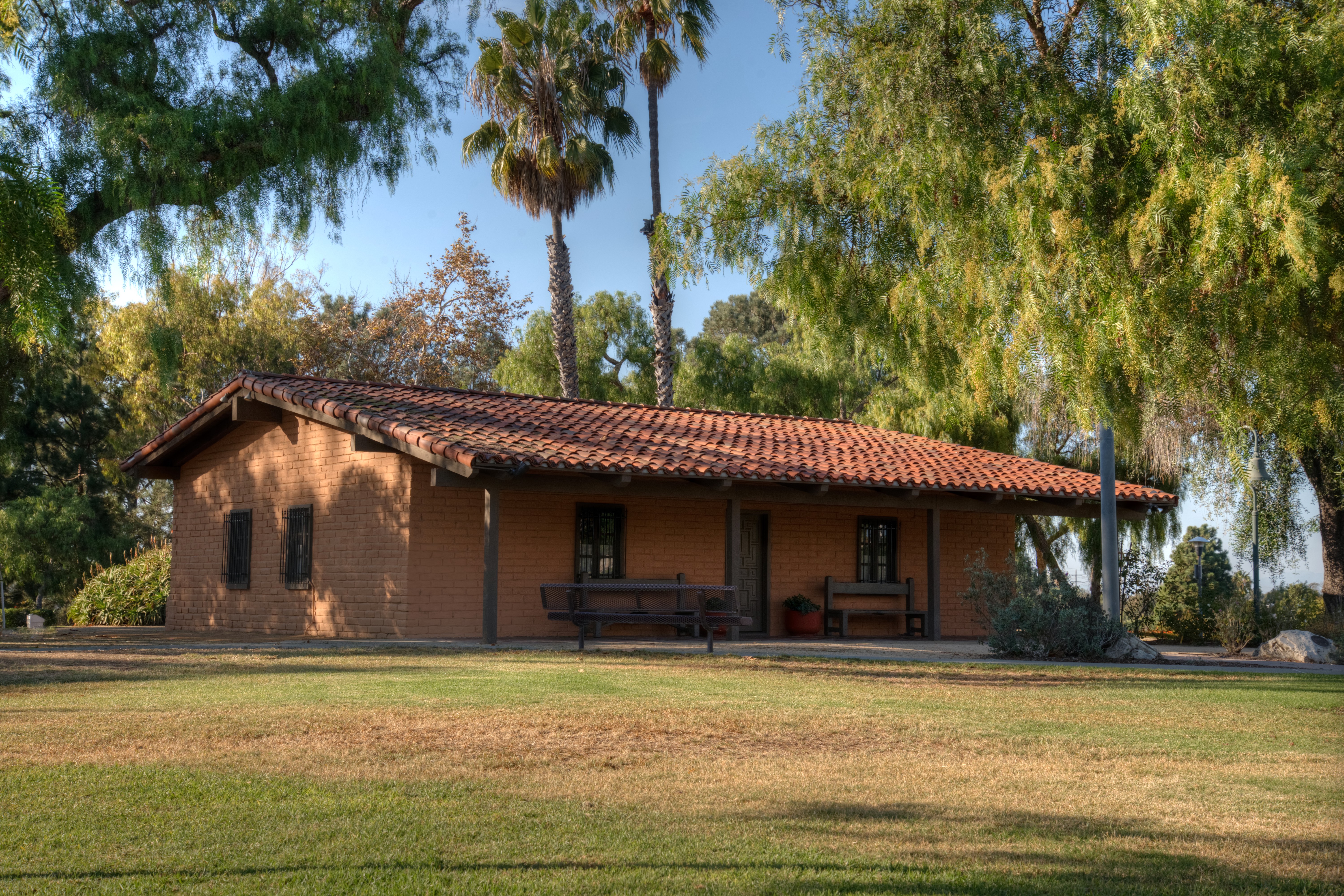 Adaptive behavior - Costa Mesa, CA