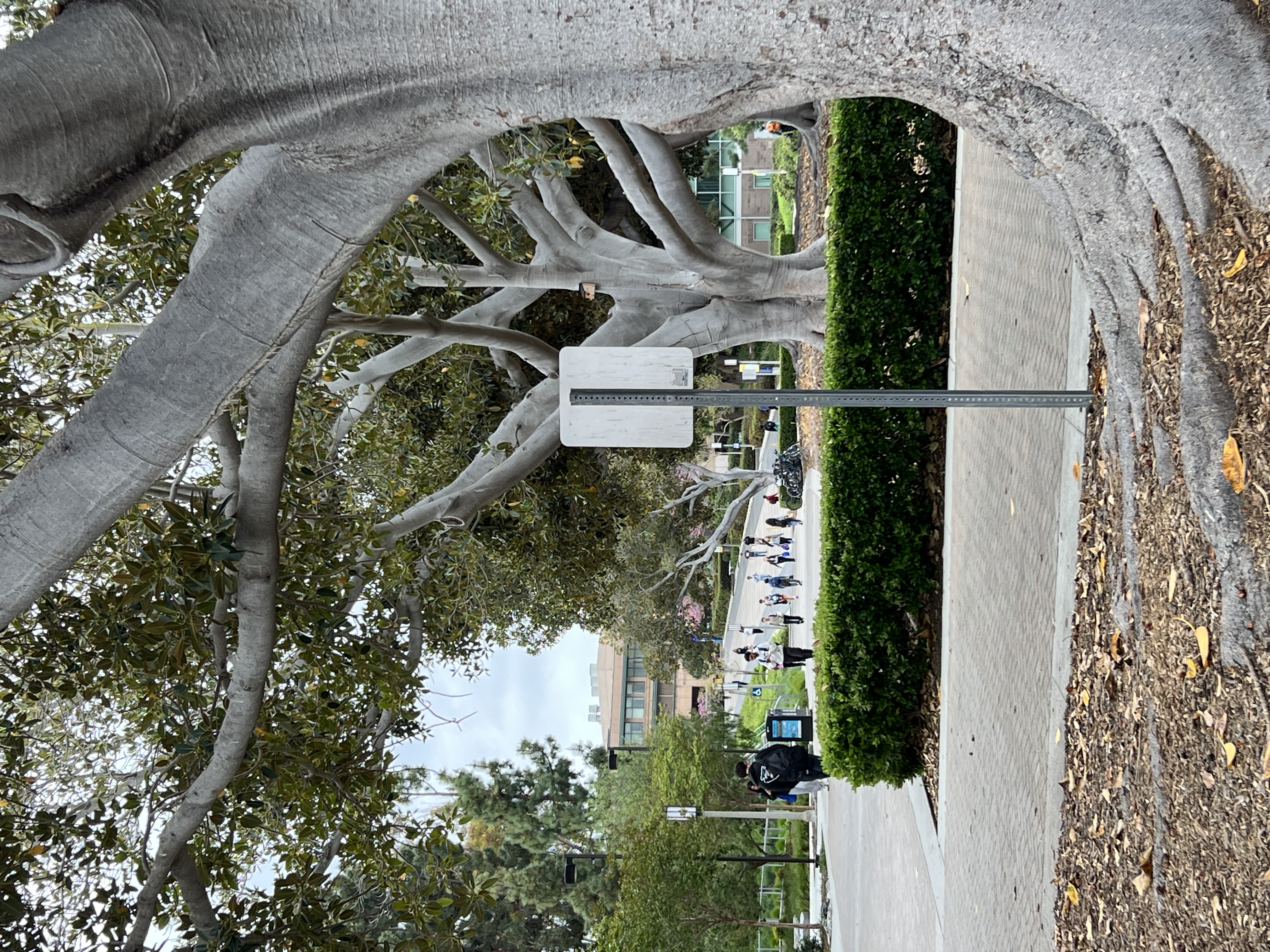 Cleaning robots irvine - Irvine, CA