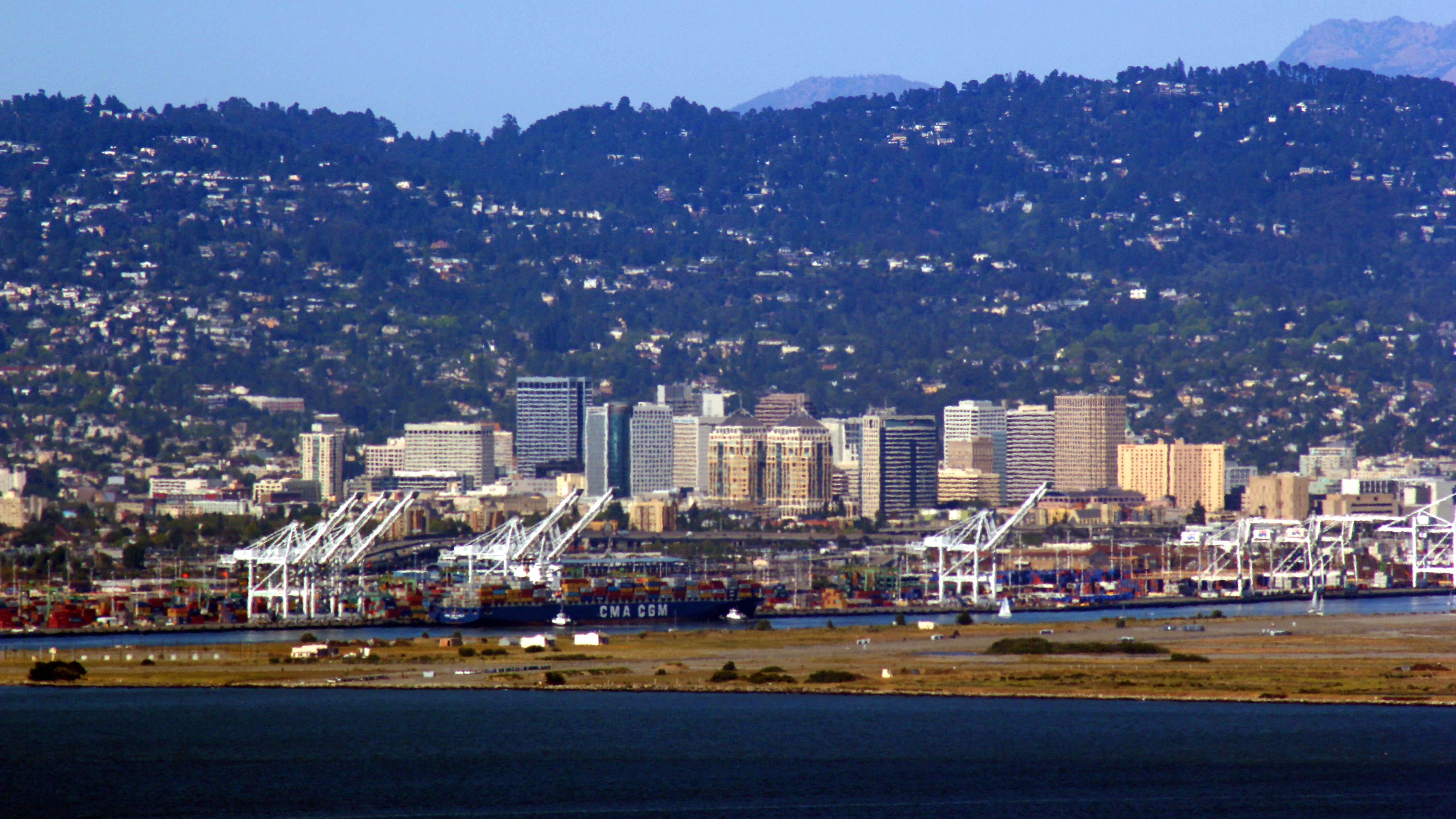 Adaptive behavior - Oakland, CA