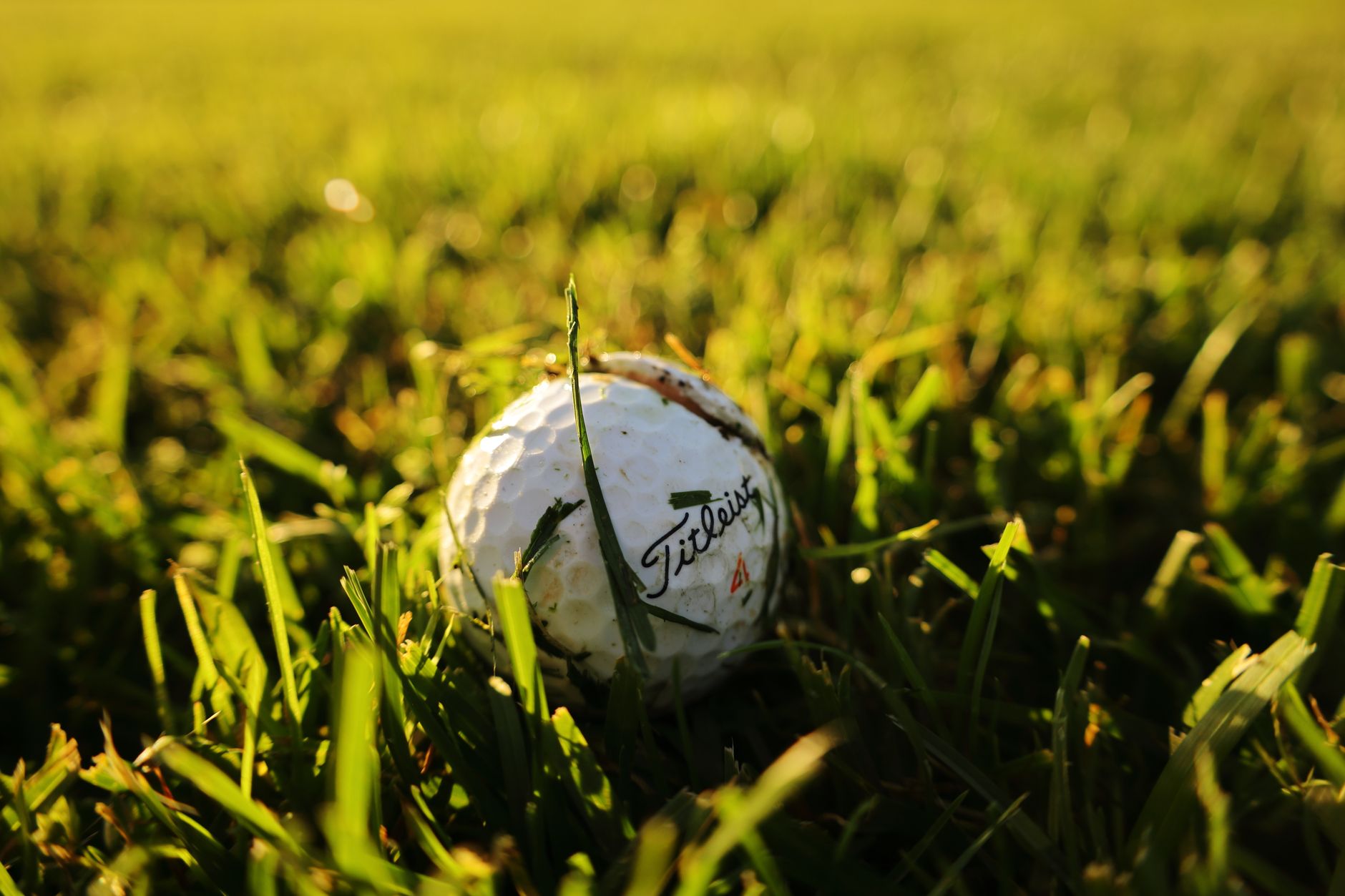 A close-up shot of a golf ball nestled in vibrant green grass, perfect for sports-related themes