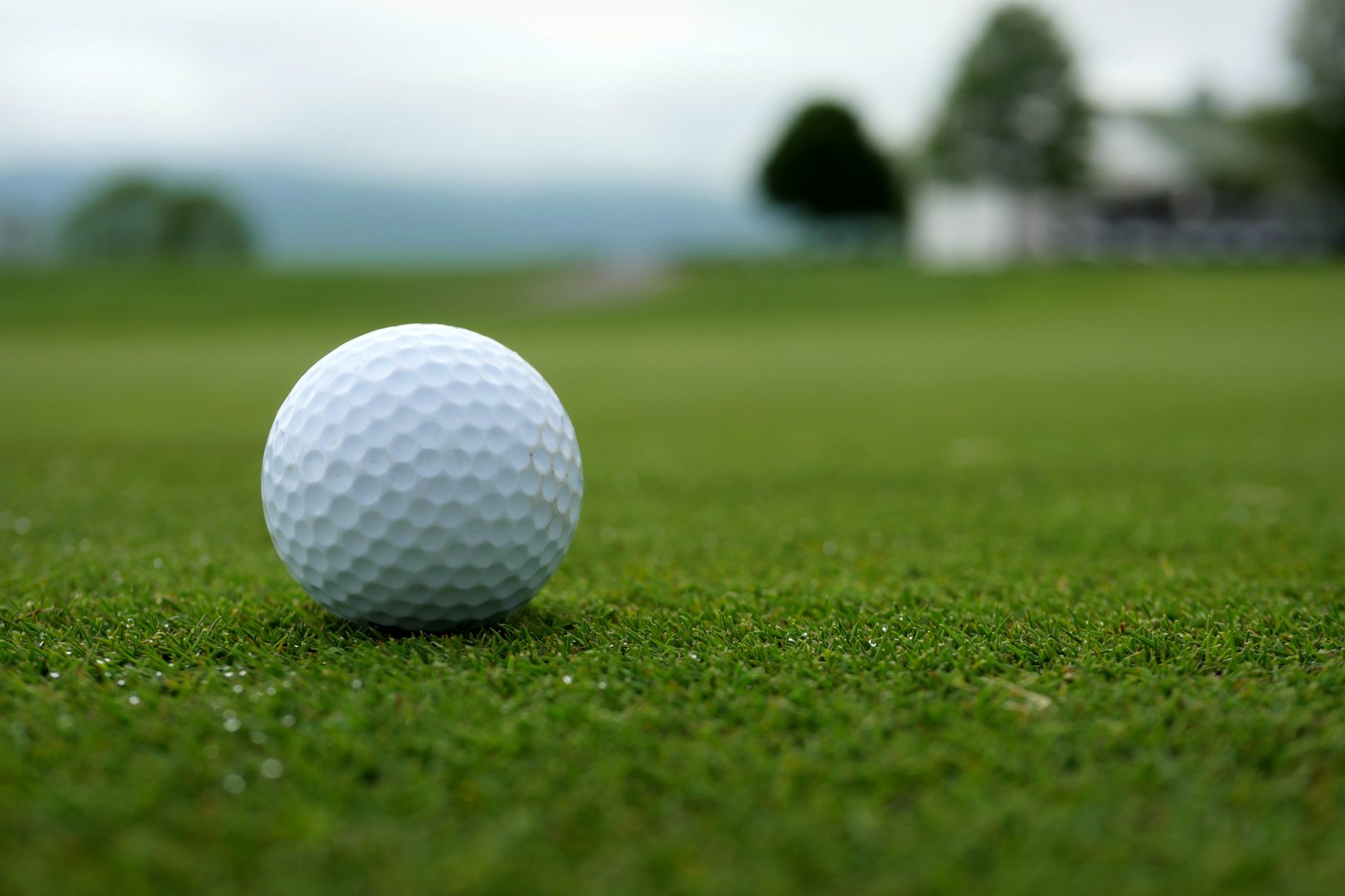 A detailed view of a golf ball on a lush green golf course, highlighting its texture