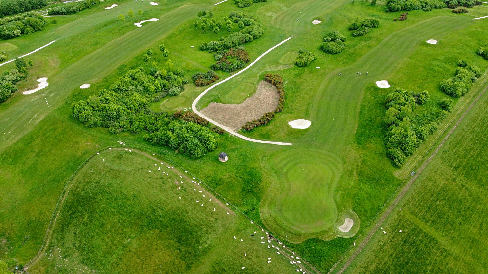 Aerial view of a green golf course surrounded by trees and pastures, ideal for outdoor and nature enthusiasts