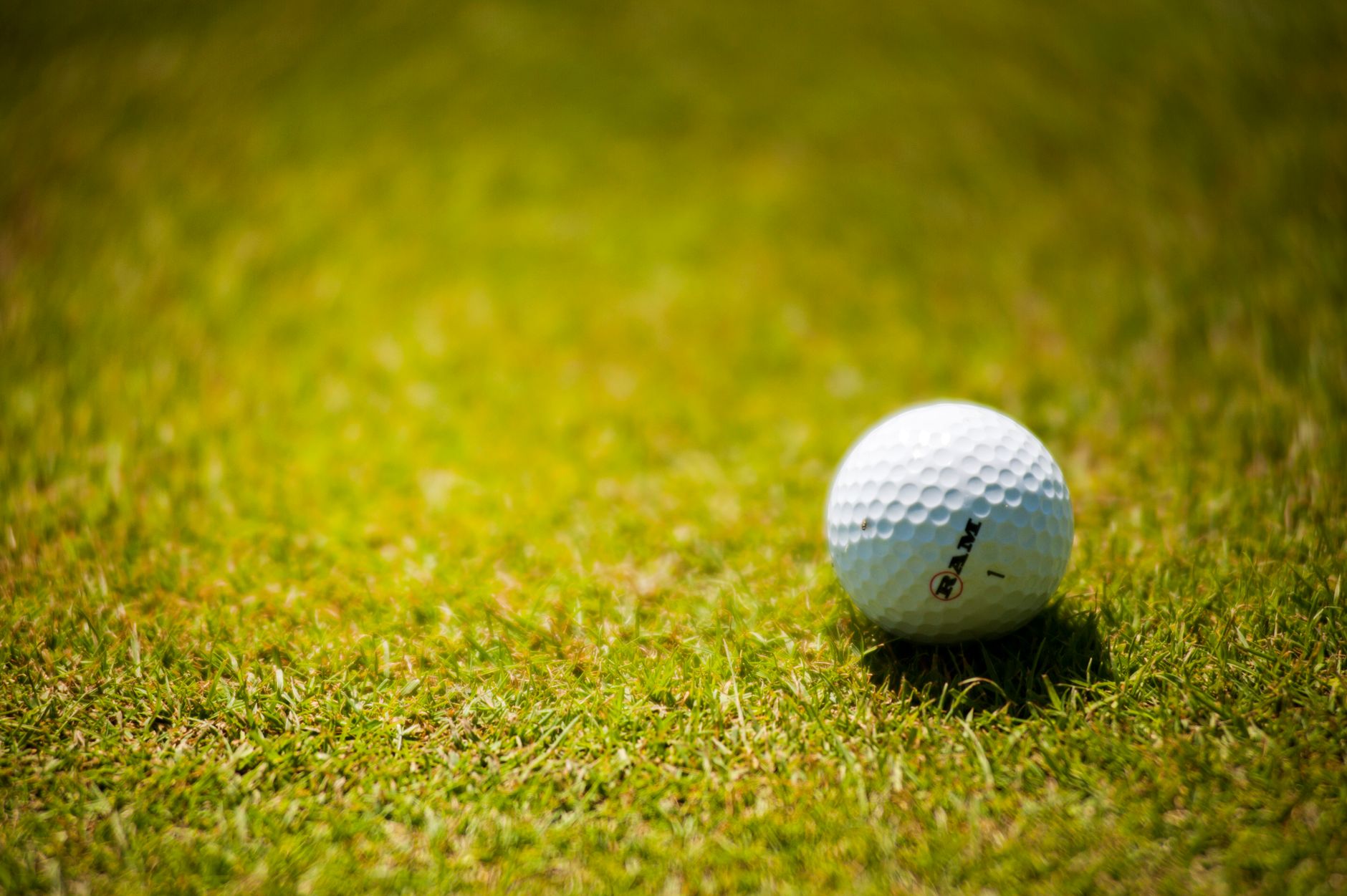 A golf ball resting on vibrant green grass, ideal for sports and outdoor themes