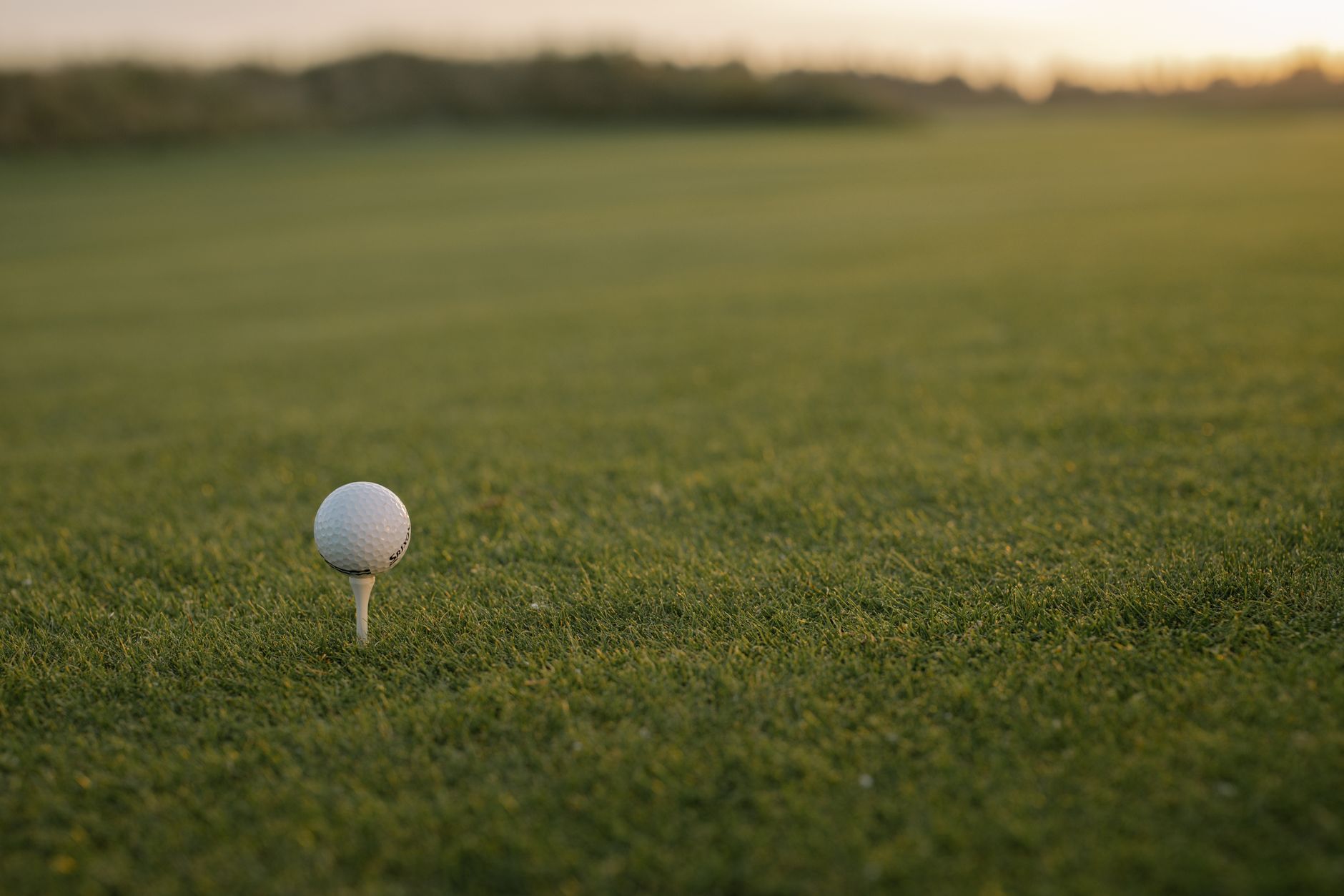 Close-up of a golf ball on tee with green grass and sunset copy space