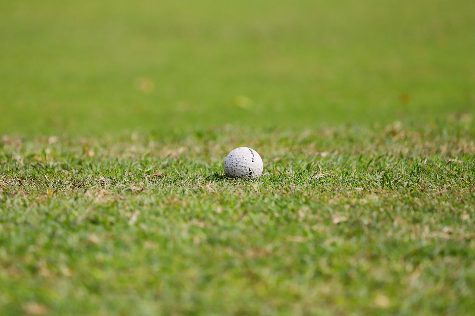 Close-up view of a golf ball resting on a green grass field, emphasizing texture and sport