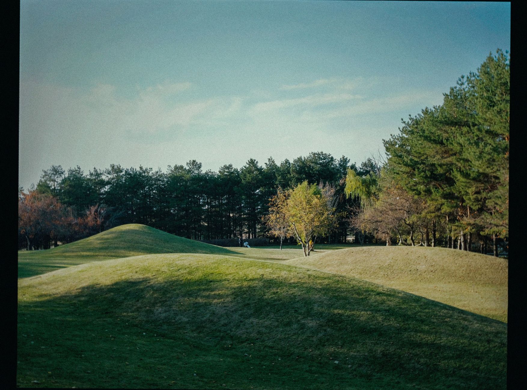 Peaceful golf course scene with rolling hills and autumn trees