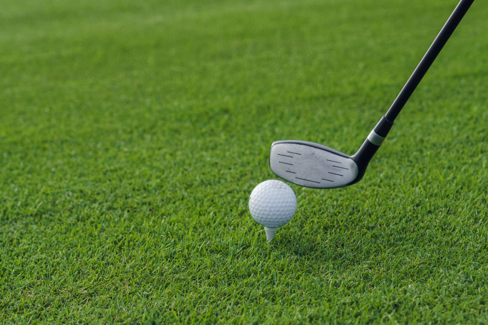 Golf club poised to hit a golf ball on a tee, set against a lush green grass background