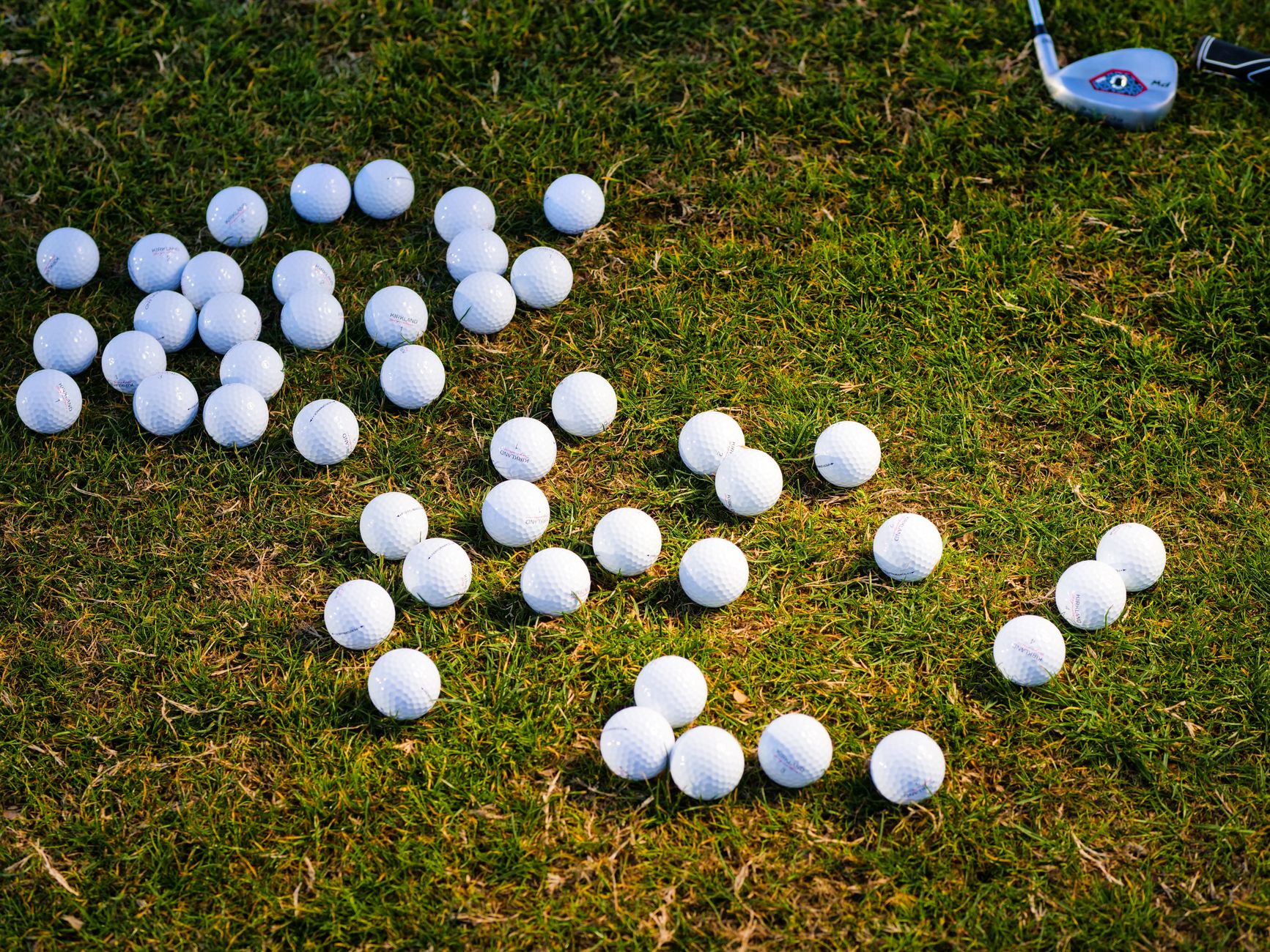 Golf balls scattered across green grass with a club visible, representing sports equipment